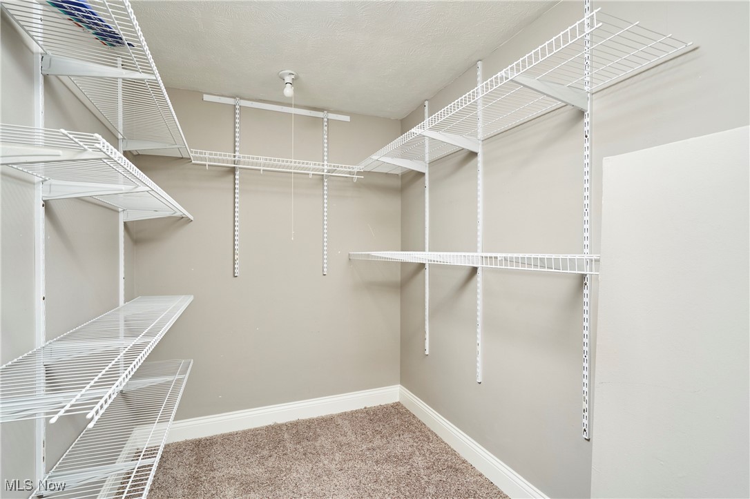4226 Broadview Road Richfield, OH 44286 - Photo 12 of 24 Walk in closet with light carpet