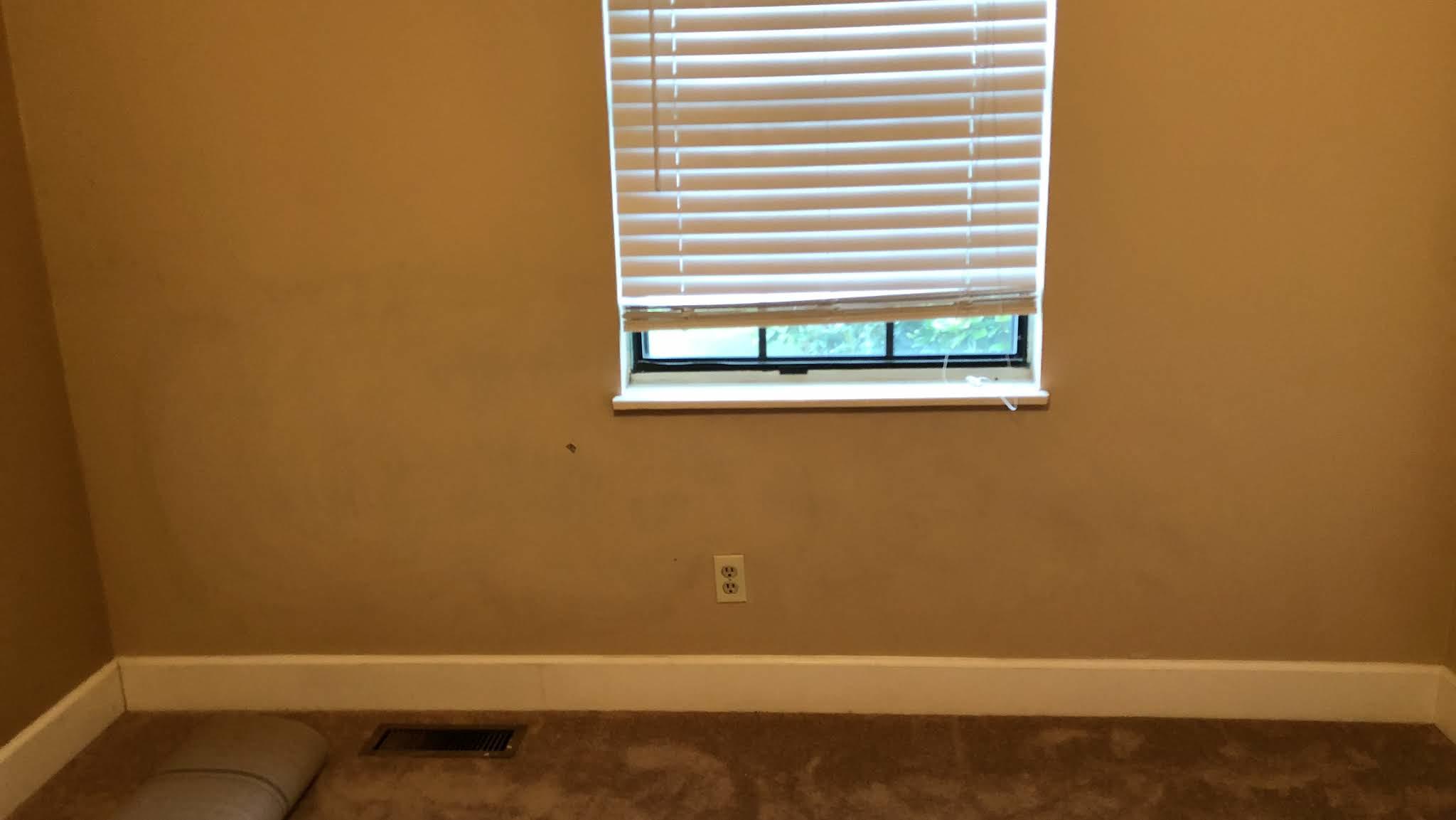 326 Gregg Road Powell, TN 37849 - Photo 10 of 33 download_20180802_135833