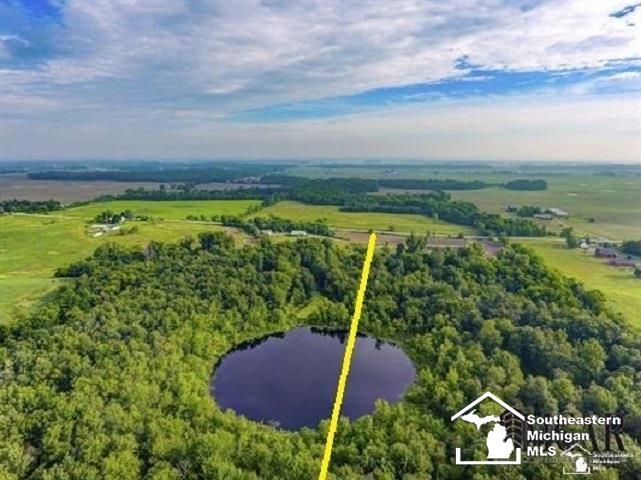 40 West Carleton Road Hudson, MI 49247 - Photo 3 of 25
