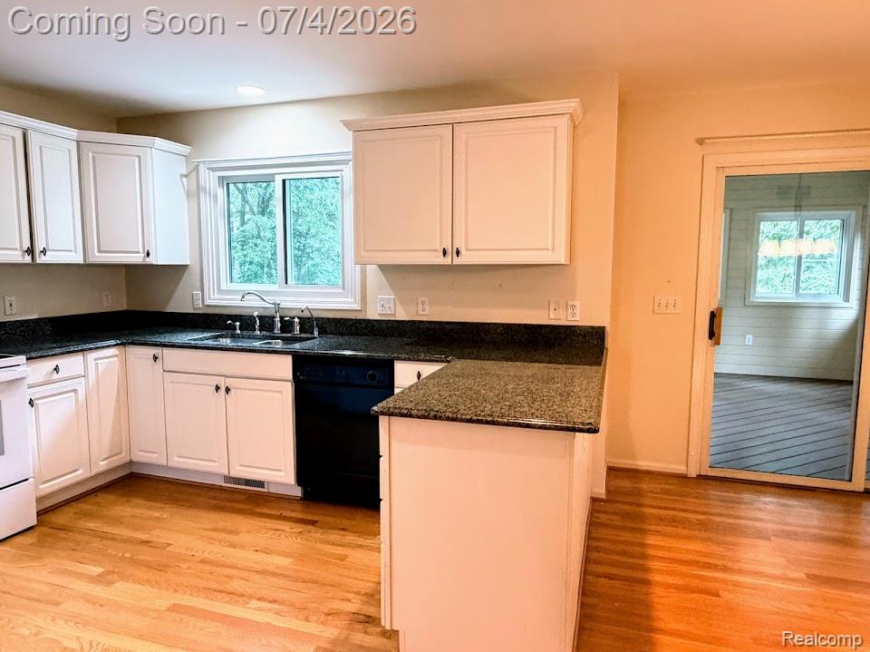 10928 Sunny Ridge Court Pinckney, MI 48169 - Photo 16 of 40 Granite Countertoo