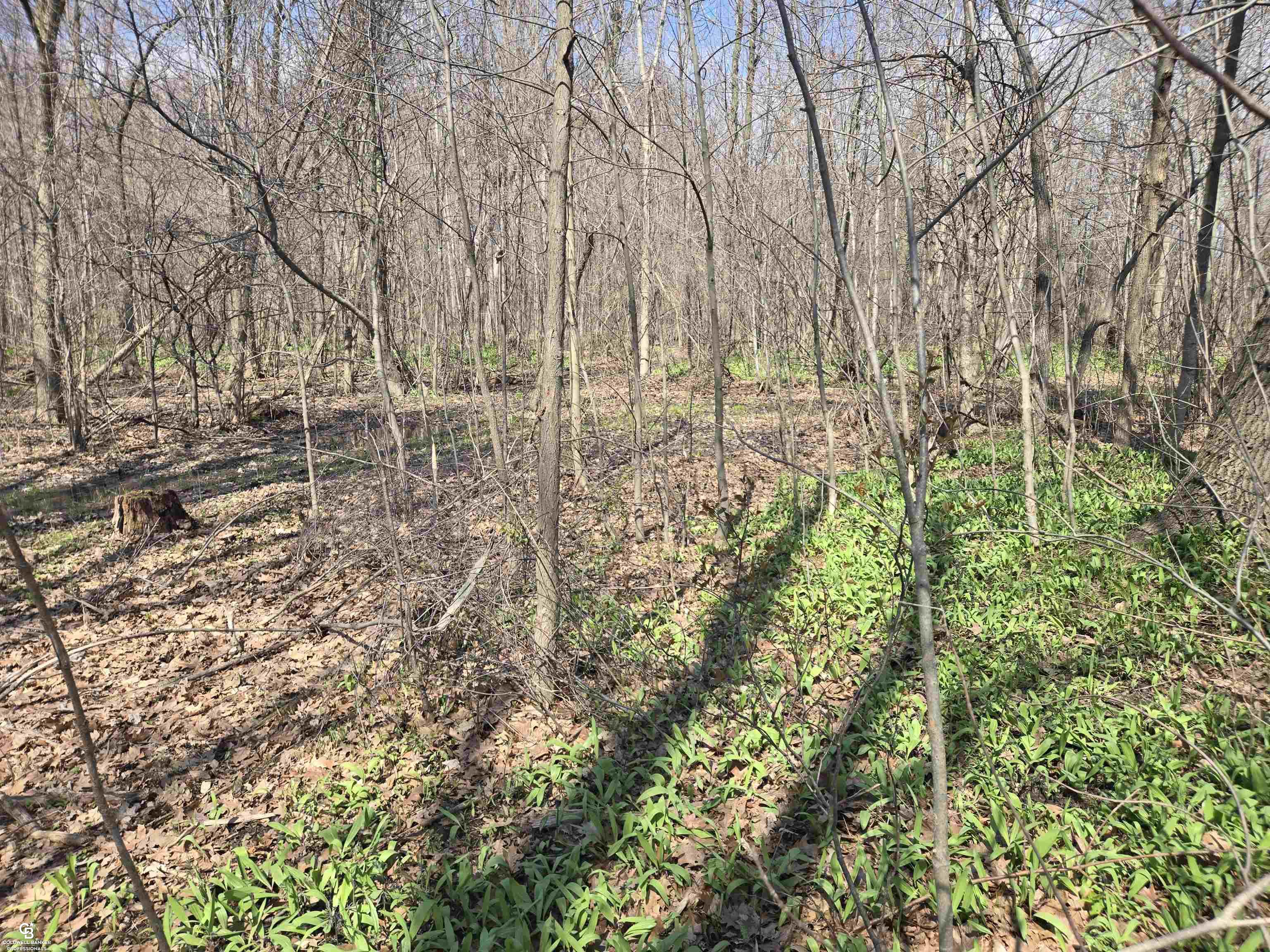 0 Range Vl Road Smiths Creek, MI 48074 - Photo 6 of 11