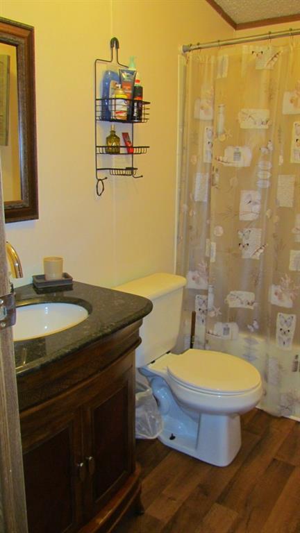 1317 Poole Gooden Road Hiddenite, NC 28636 - Photo 26 of 36 a bathroom with a granite countertop toilet sink and mirror
