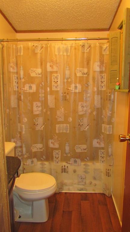 1317 Poole Gooden Road Hiddenite, NC 28636 - Photo 27 of 36 a bathroom with a toilet and a shower