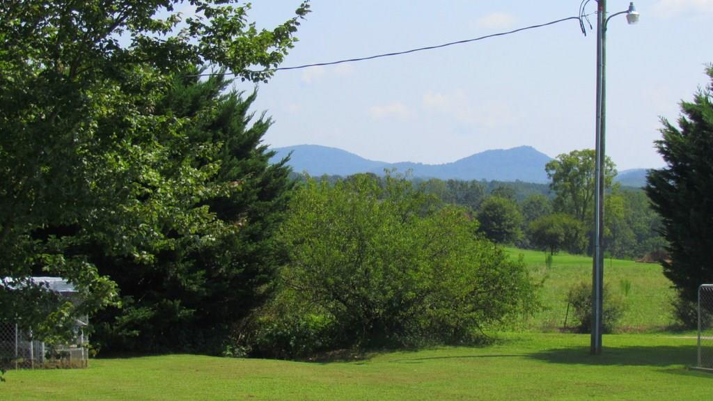 1317 Poole Gooden Road Hiddenite, NC 28636 - Photo 9 of 36 a view of a green field with a tree
