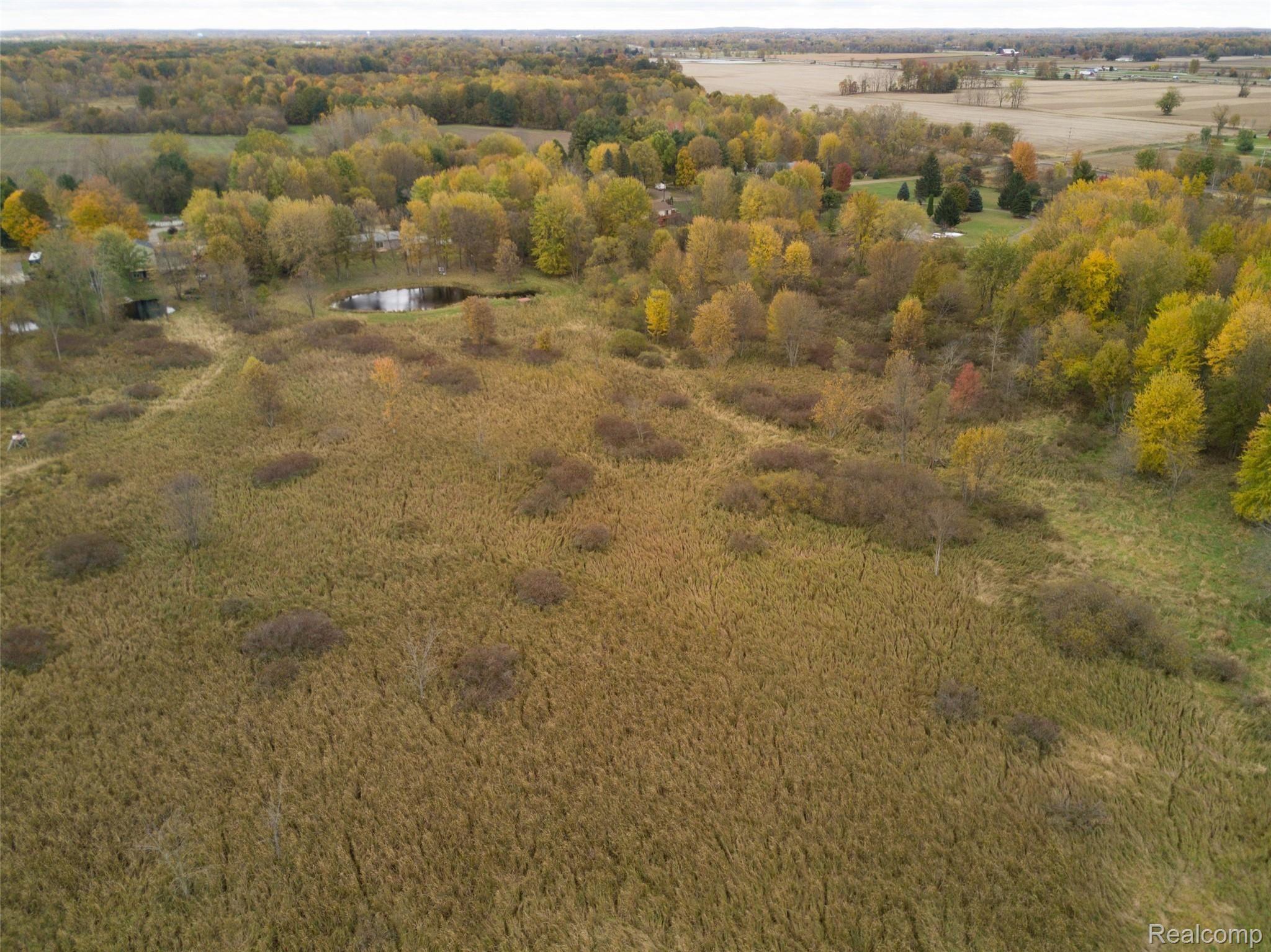 4193 Wheeler Road Fowlerville, MI 48836 - Photo 57 of 64 IMG-0090.jpg