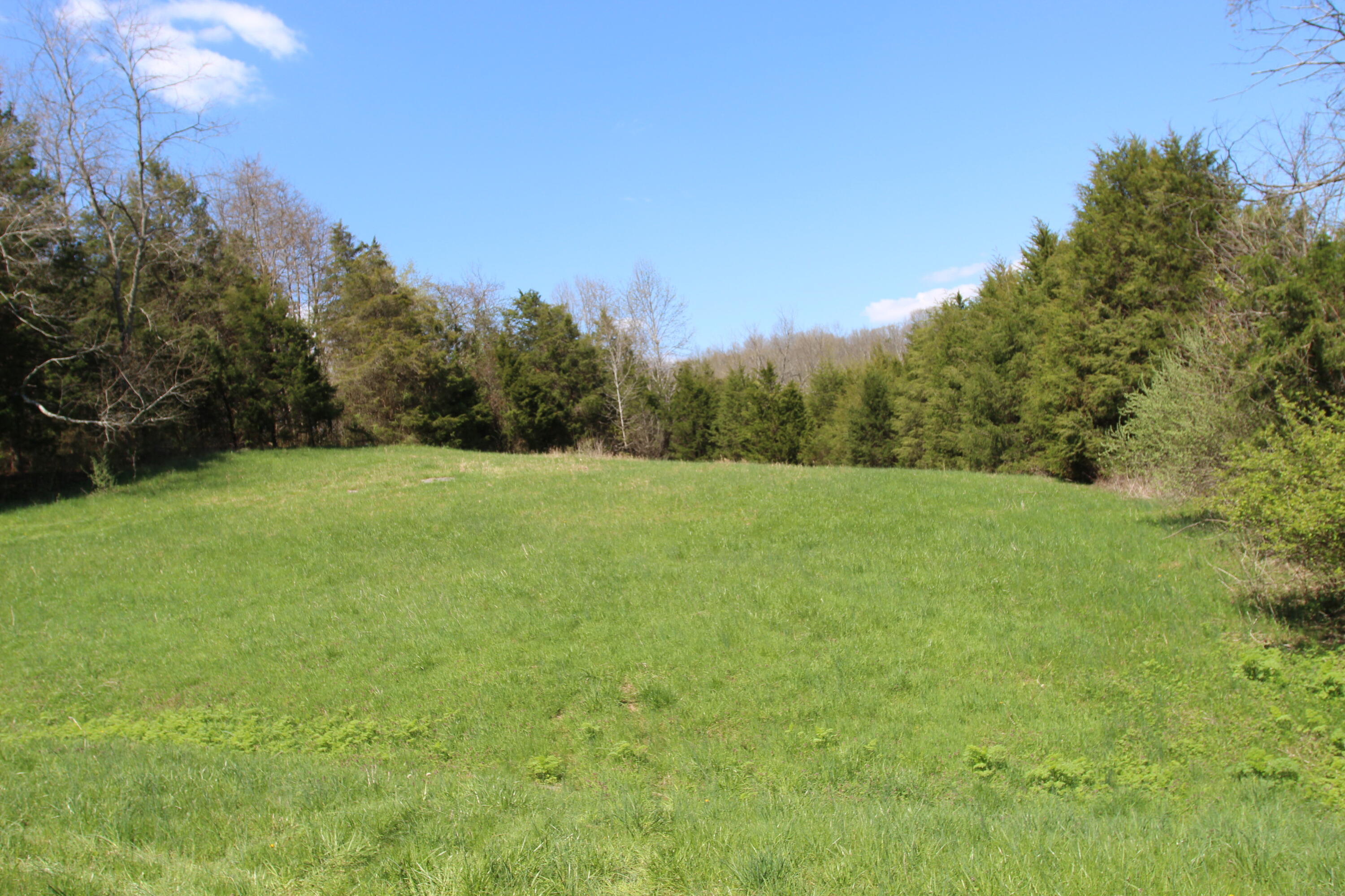 127 Owenton Road Owenton, KY 40359 - Photo 25 of 33 1- land owen county (24)