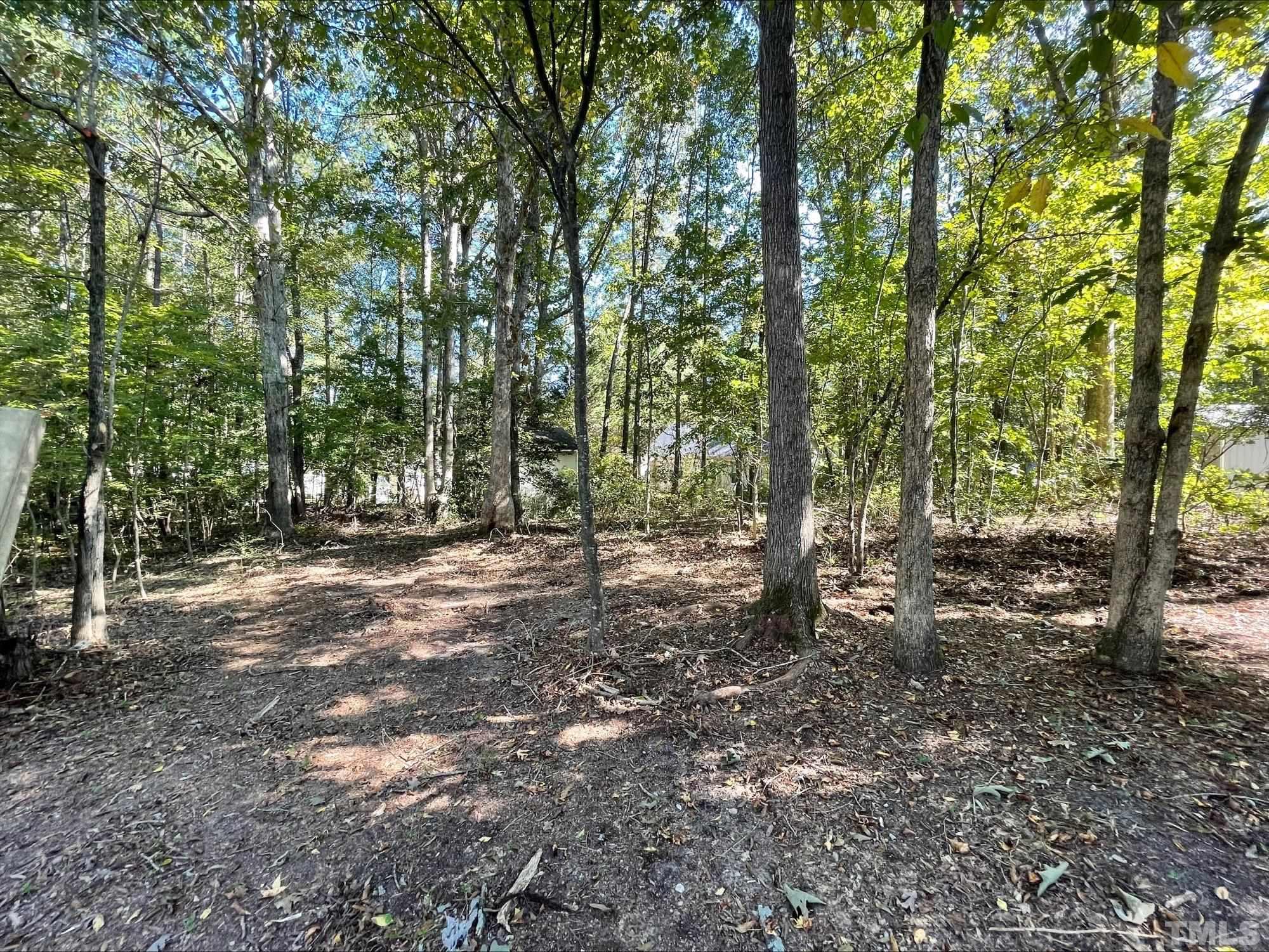 6004 Sandy Run Knightdale, NC 27545 - Photo 8 of 8 Gallery Image 8