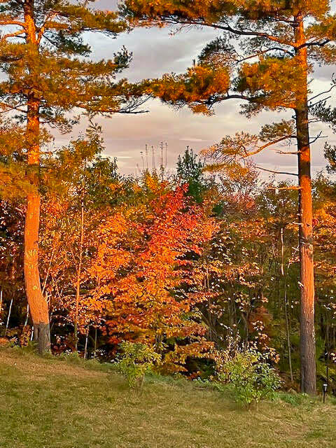 139 Bear Trap Road Bridgton, ME 04009 - Photo 93 of 97 139 bear trap road edits-12