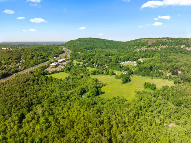 a view of a field with an ocean