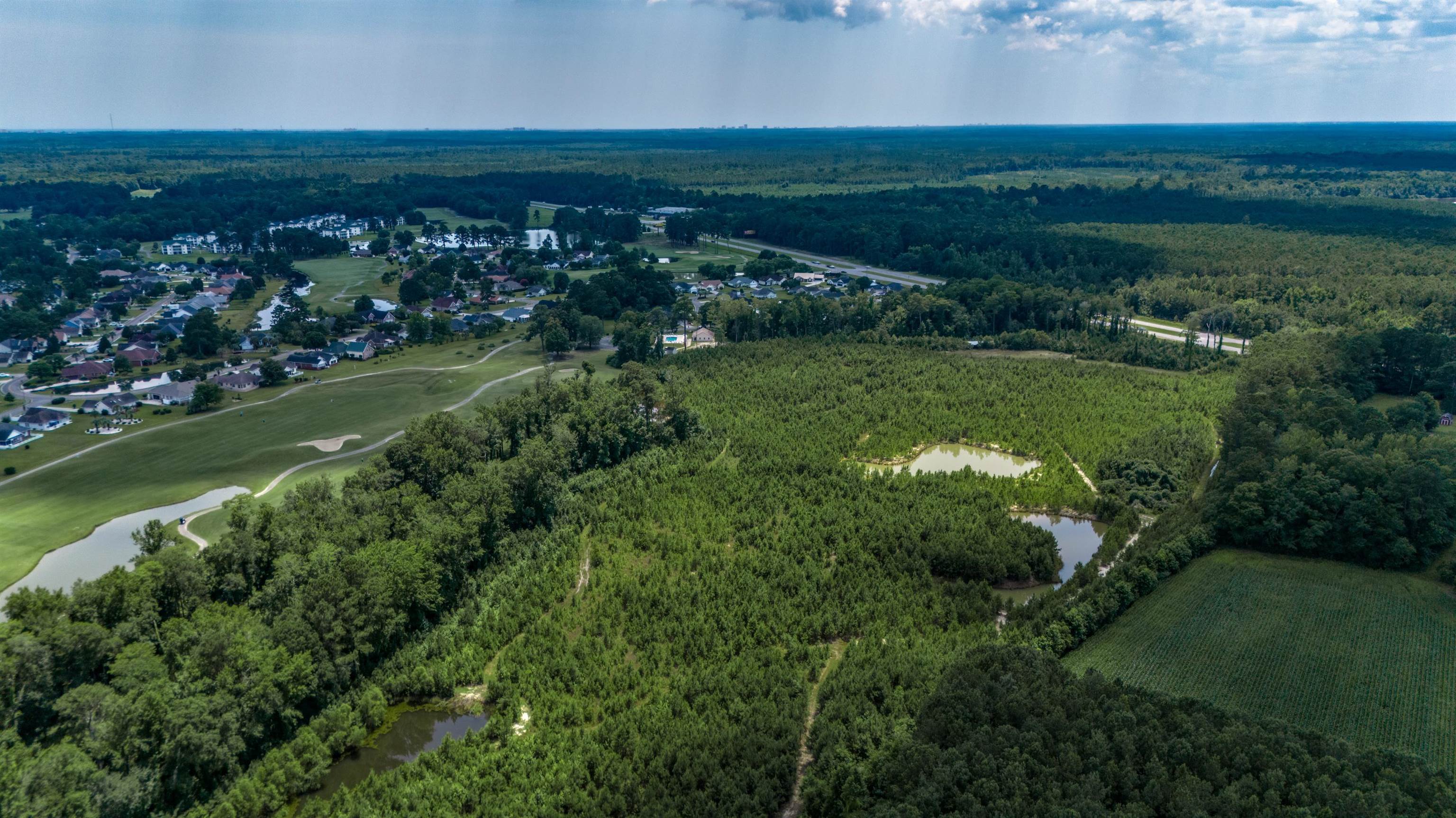 300 Rolling Ridge Drive Longs, SC 29568 - Photo 32 of 35