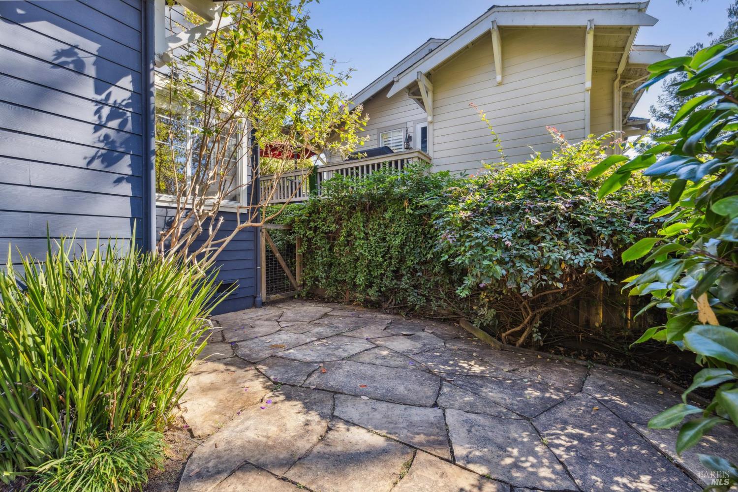 529 Alta Way Mill Valley, CA 94941 - Photo 45 of 58 a backyard of a house with lots of green space
