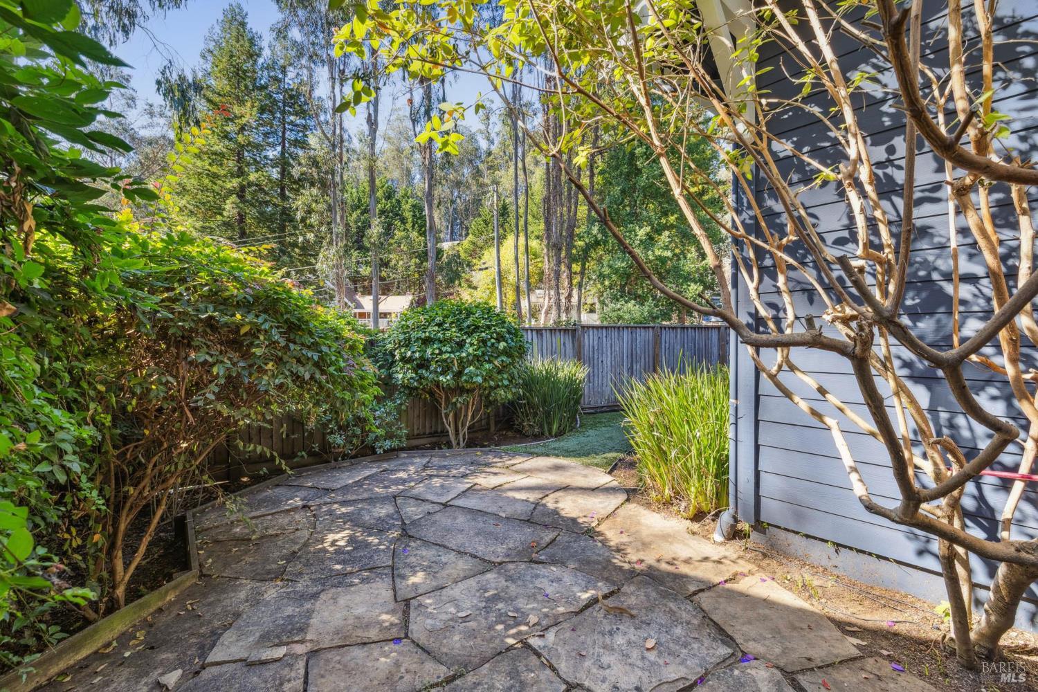 529 Alta Way Mill Valley, CA 94941 - Photo 46 of 58 a view of garden with patio