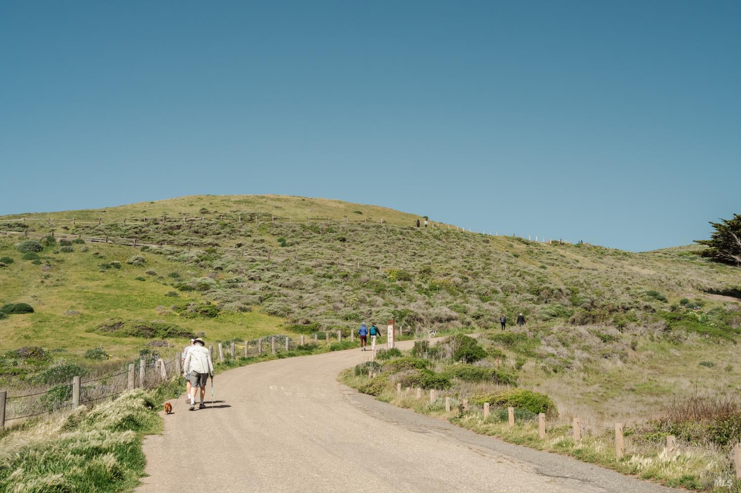 529 Alta Way Mill Valley, CA 94941 - Photo 47 of 58