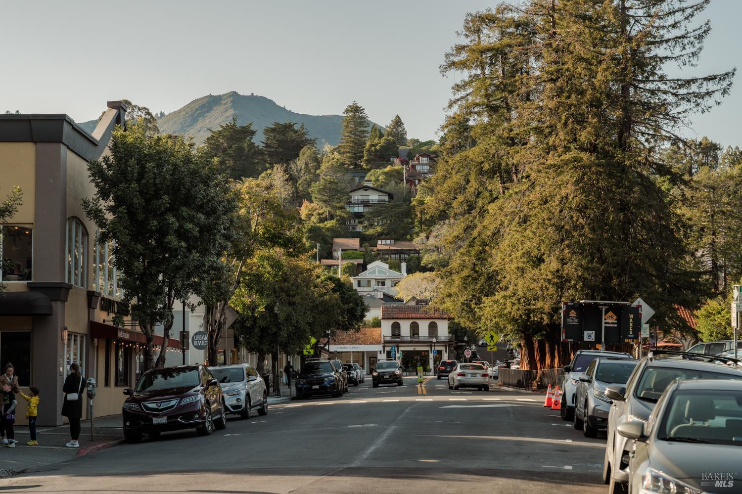 529 Alta Way Mill Valley, CA 94941 - Photo 55 of 58 a city street lined with buildings and cars