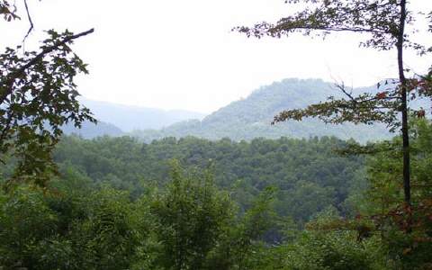 Main View