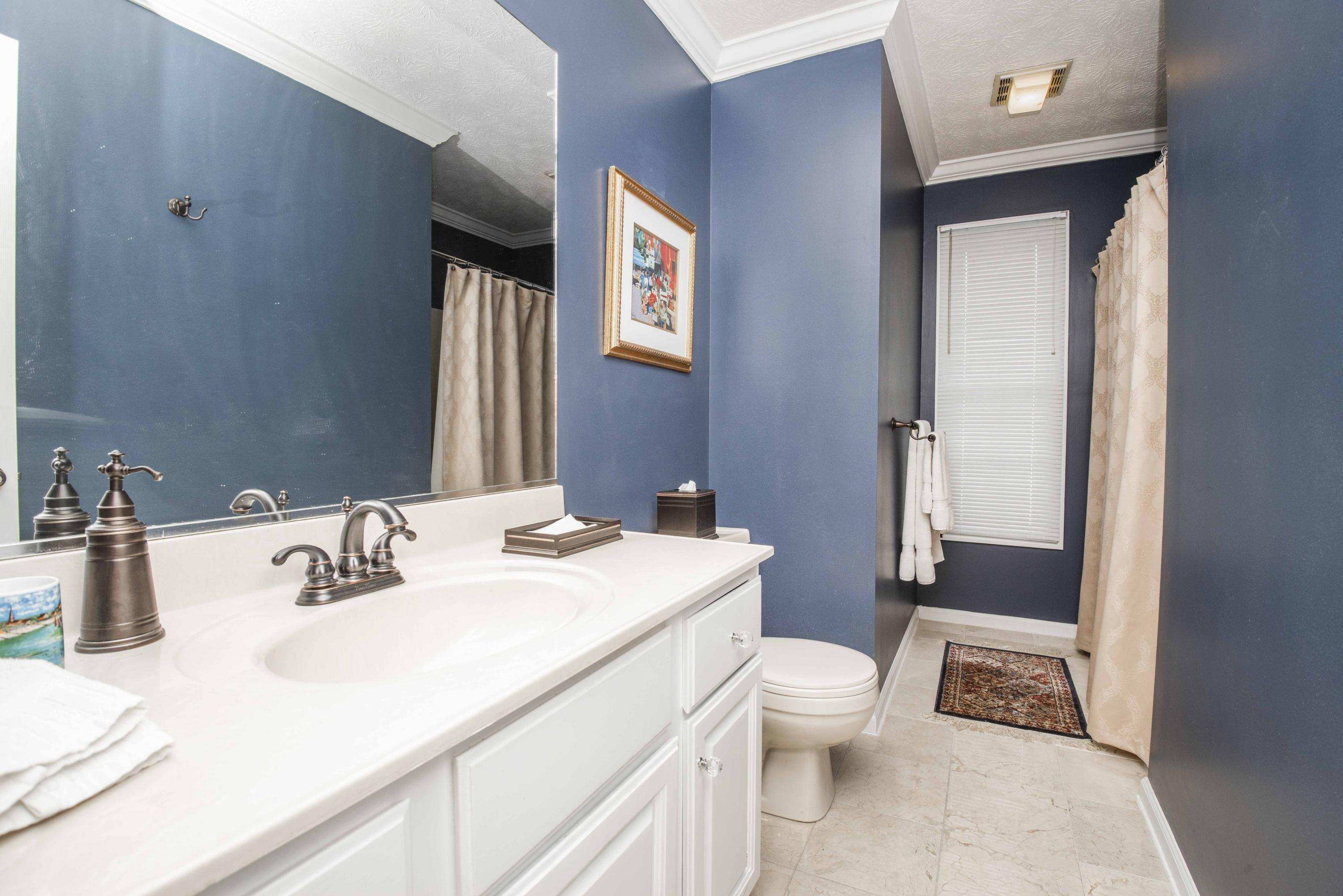 824 Tate Trotter Road Powell, TN 37849 - Photo 25 of 40 second bath_1