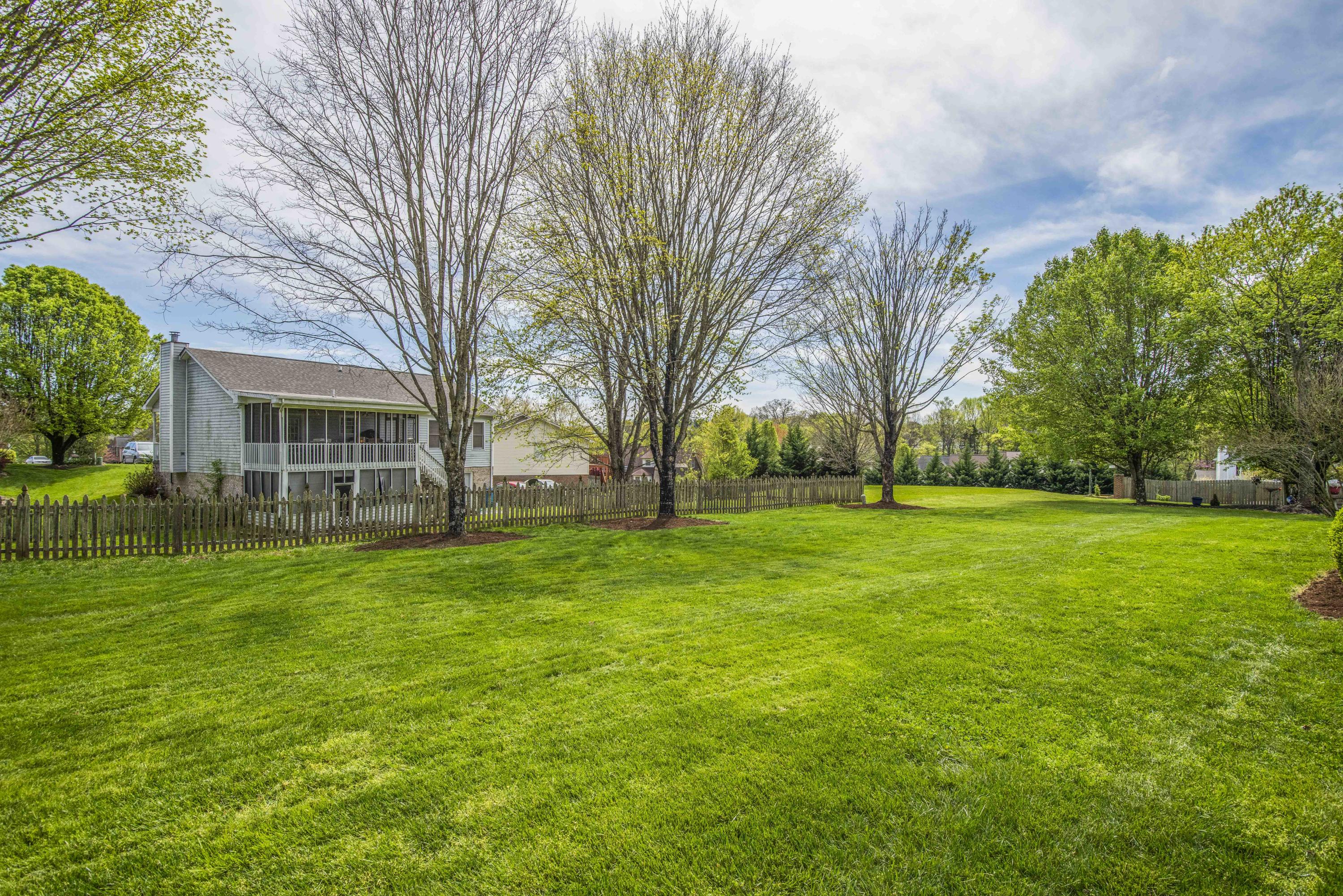 824 Tate Trotter Road Powell, TN 37849 - Photo 35 of 40 yard 2_1