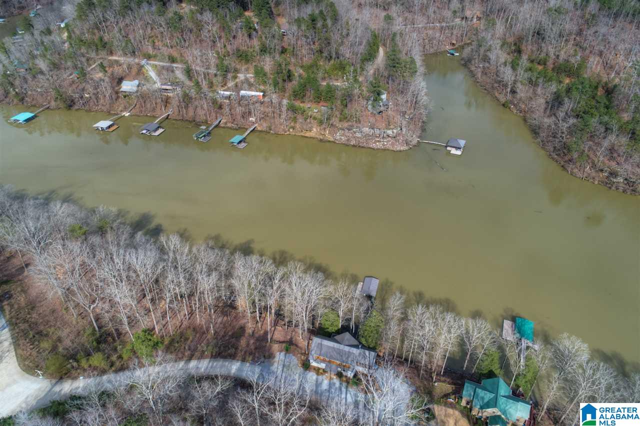481 Lakeridge Way Arley, AL 35541 - Photo 41 of 44