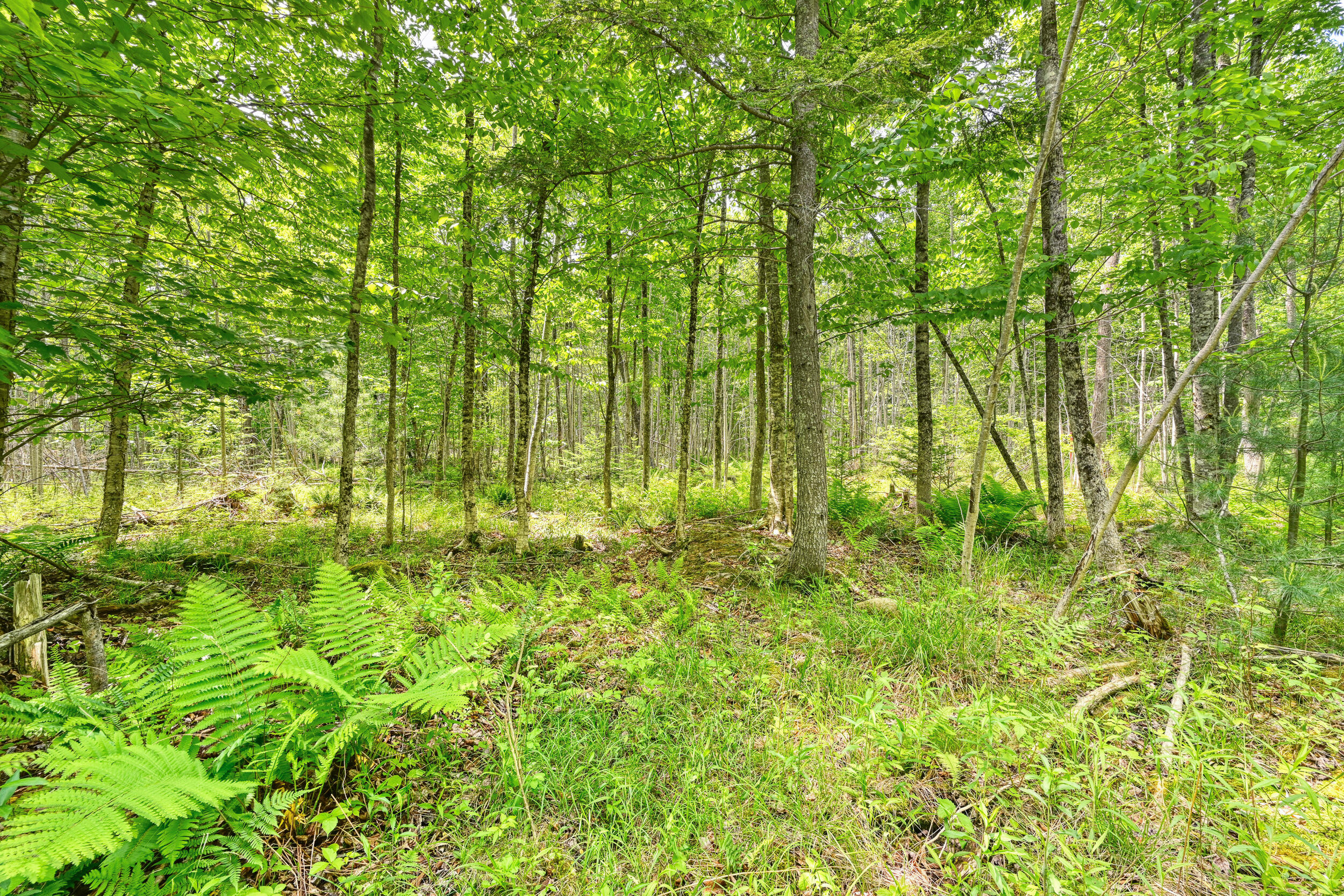 0 Macomber Road Readfield, ME 04355 - Photo 9 of 61 149-Z4LWJYW--LP-108