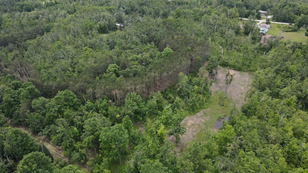 1692 North Galbraith Road Mio, MI 48647 - Photo 16 of 82 10(2)