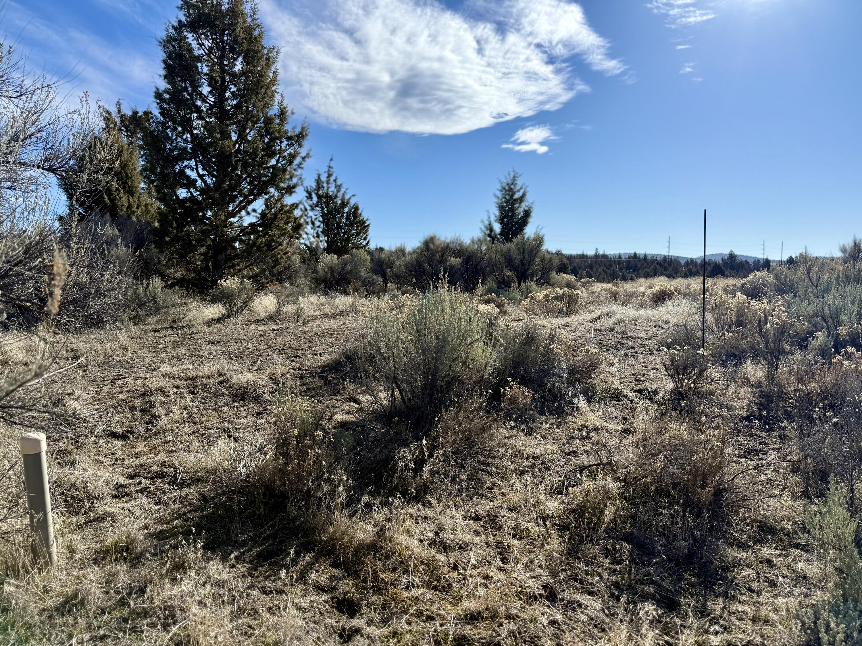 Southeast Riverdance Road, Unit TL 410 Prineville, OR 97754 - Photo 8 of 11 8 - 08 Riverdance IMG_5720