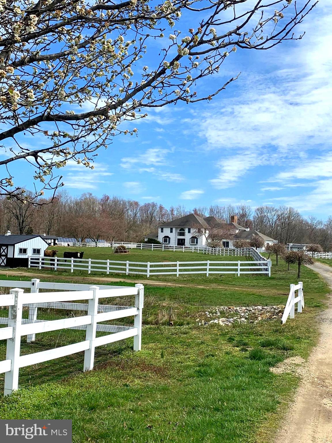 120 Oechsle Road Woodstown, NJ 08098 - Photo 14 of 14 a view of a golf course with a lake view