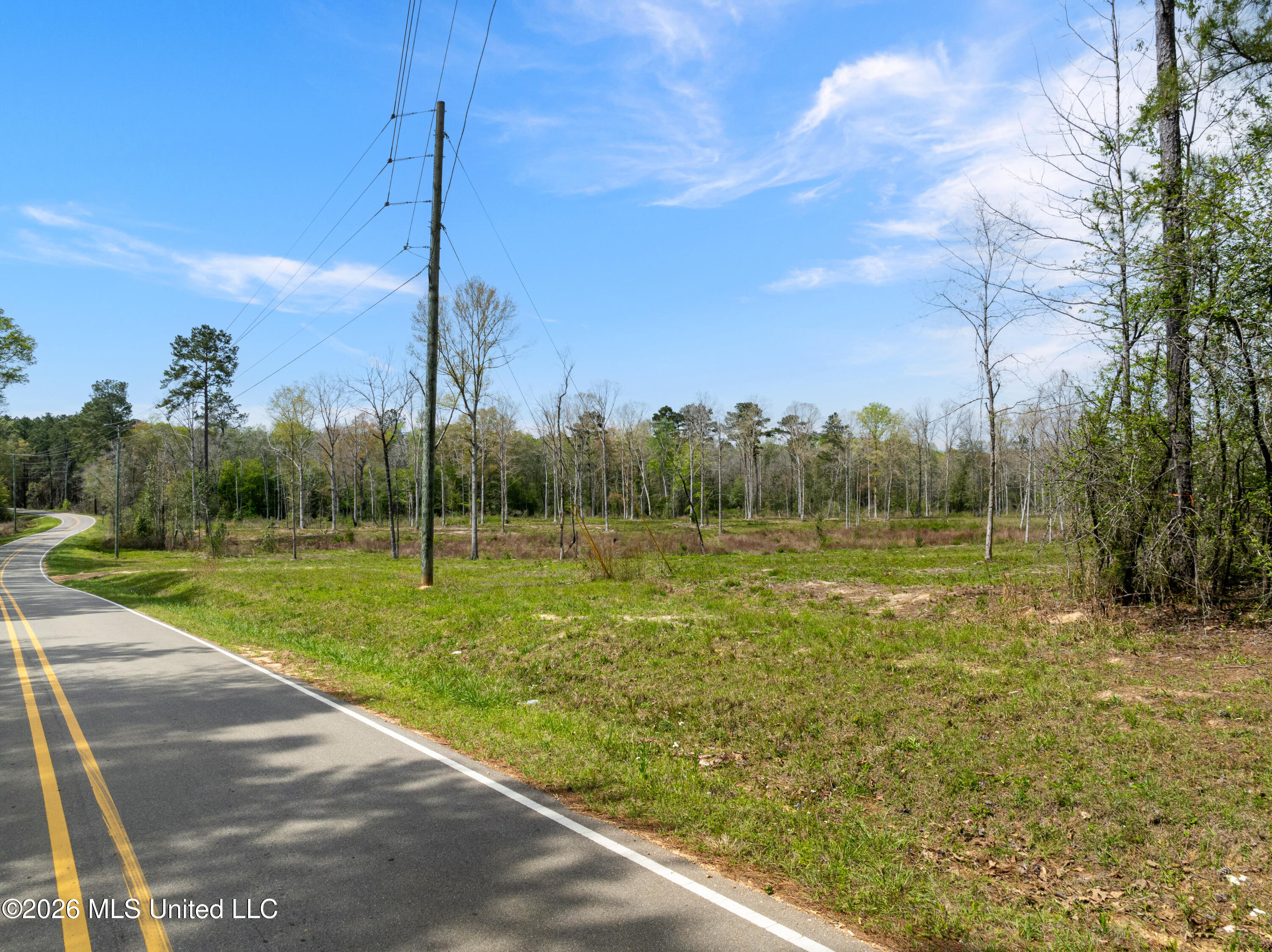0 Scruggs Road Sumrall, MS 39482 - Photo 2 of 17 520_Scruggs_Rd-2