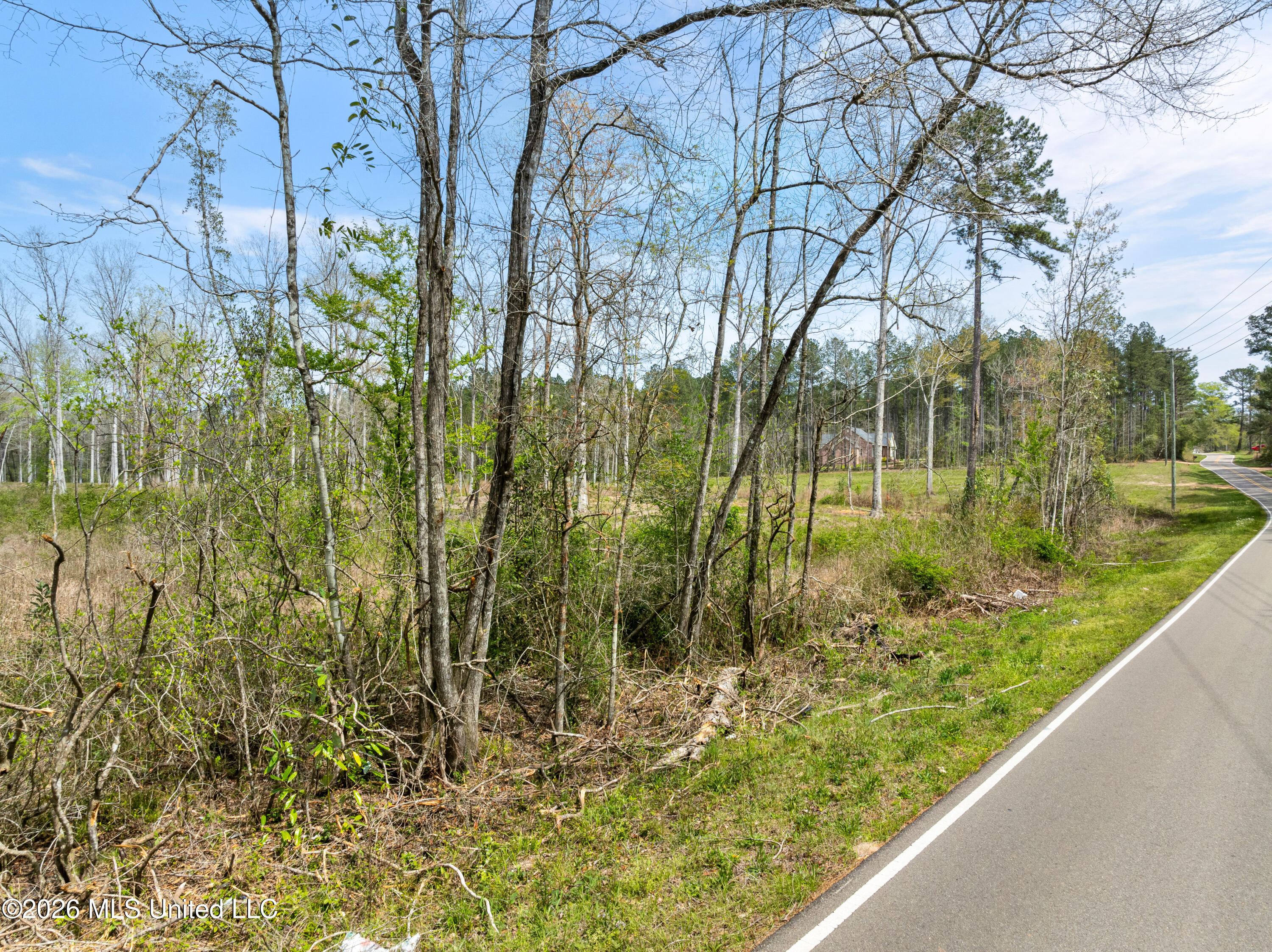 0 Scruggs Road Sumrall, MS 39482 - Photo 3 of 17 520_Scruggs_Rd-3