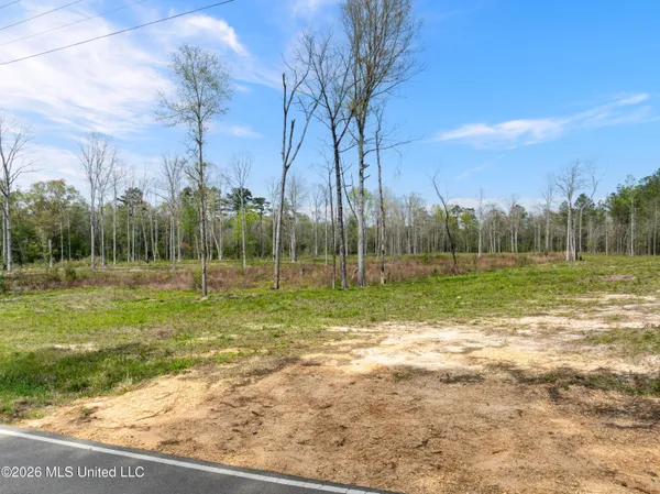 $176,500 | 0 Scruggs Road, Sumrall, MS 39482