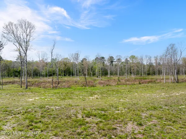 $176,500 | 0 Scruggs Road, Sumrall, MS 39482