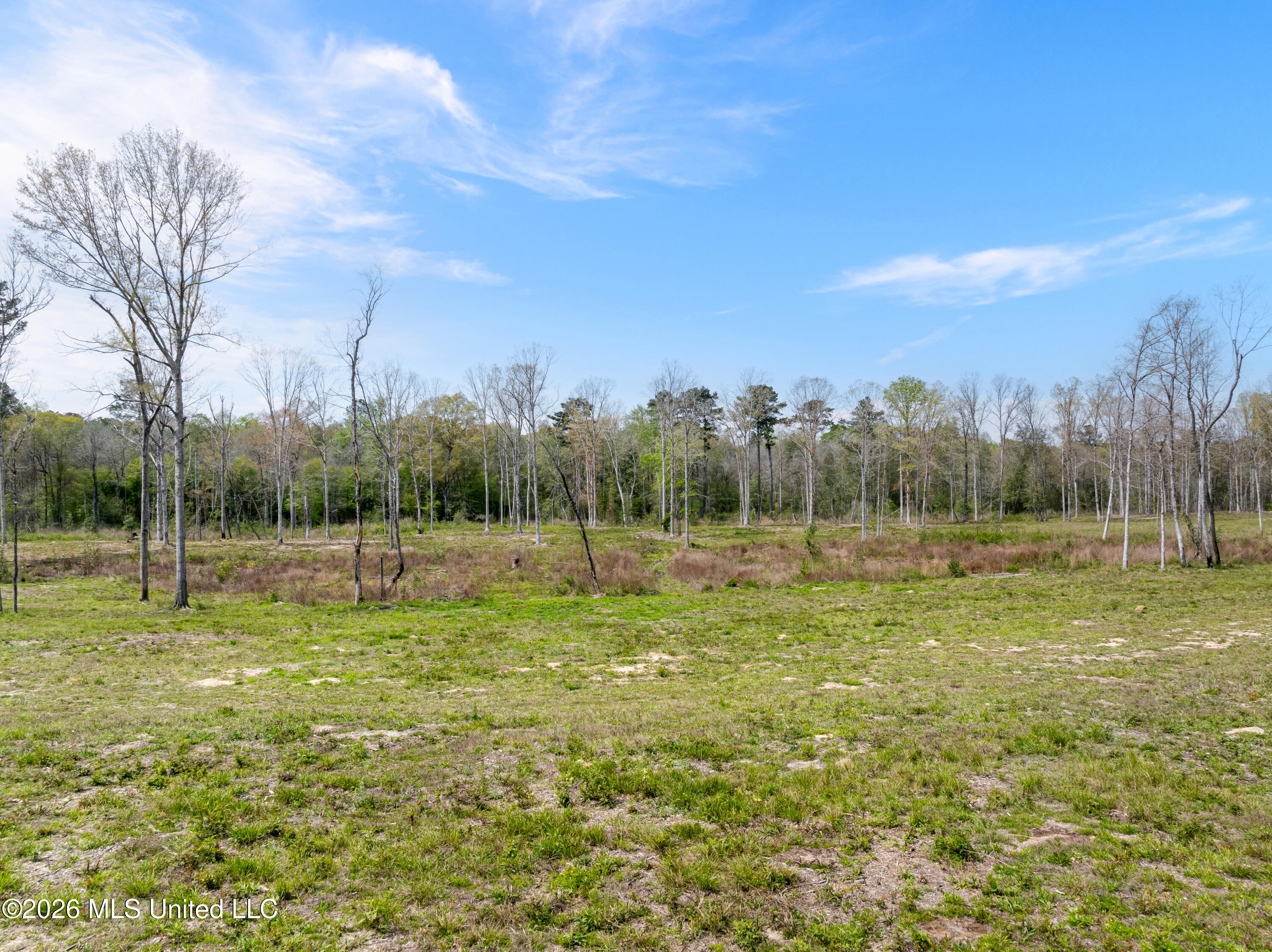 0 Scruggs Road Sumrall, MS 39482 - Photo 5 of 17 520_Scruggs_Rd-5