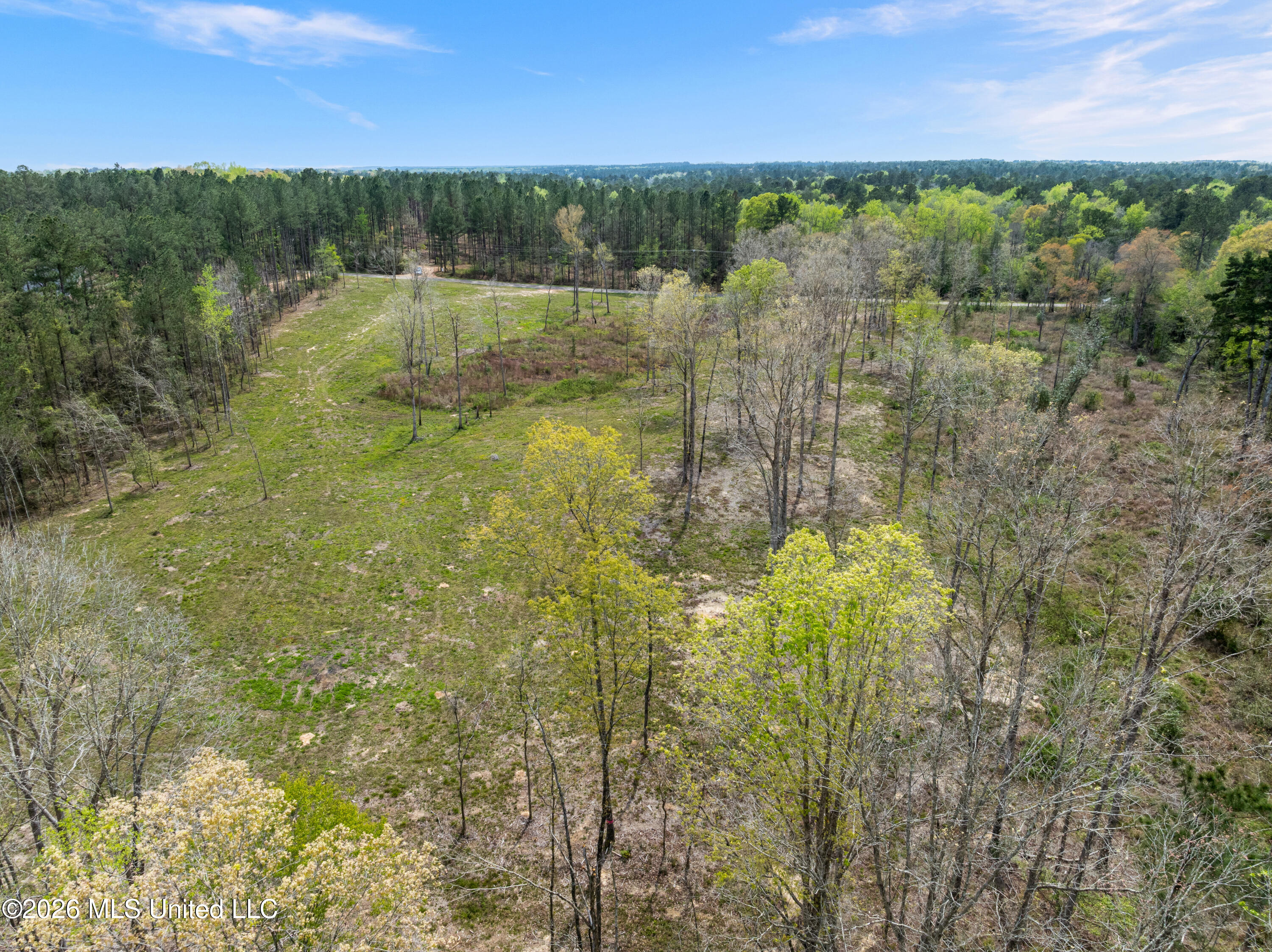 0 Scruggs Road Sumrall, MS 39482 - Photo 8 of 17 520_Scruggs_Rd-8