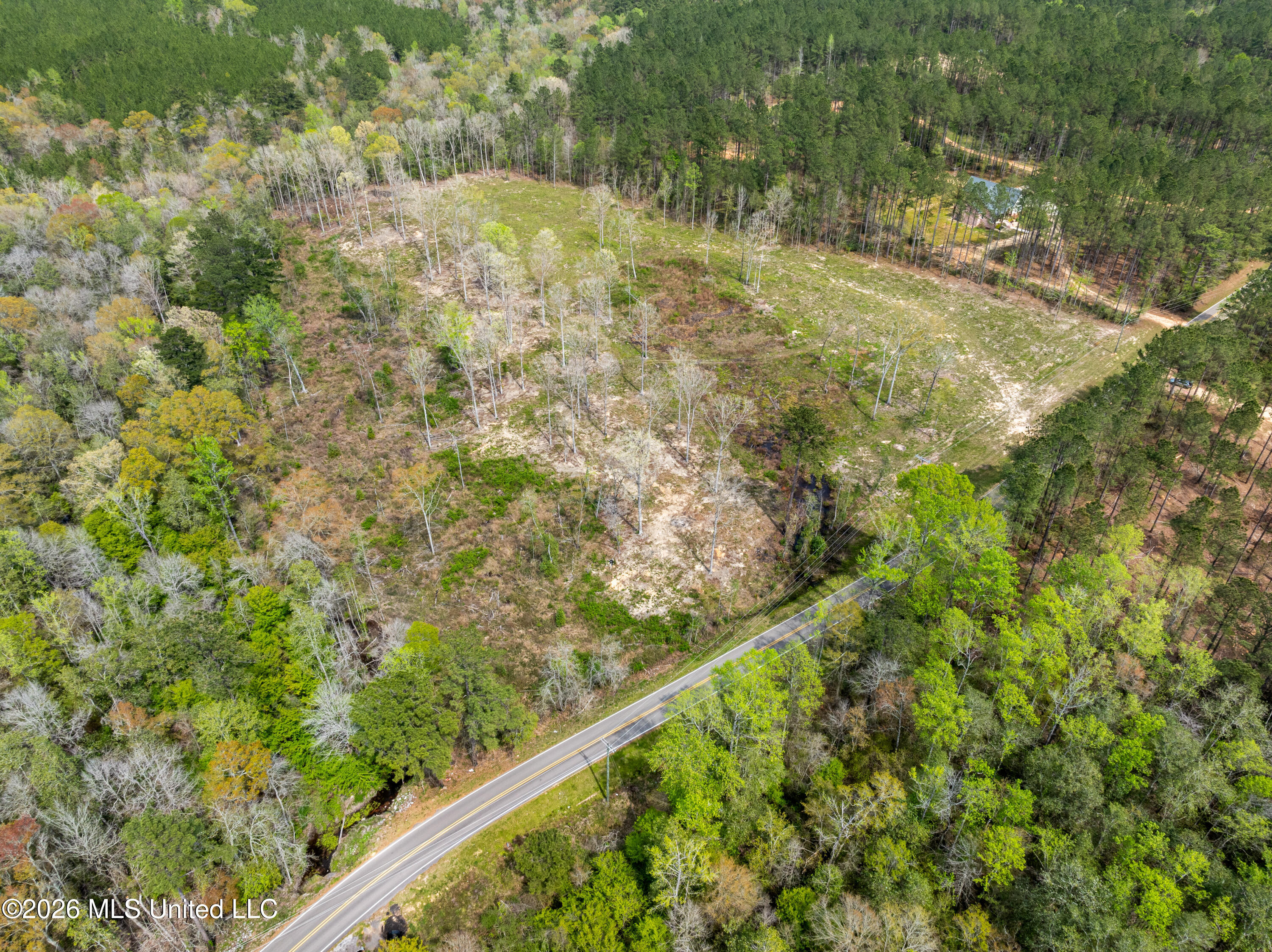 0 Scruggs Road Sumrall, MS 39482 - Photo 9 of 17 520_Scruggs_Rd-9