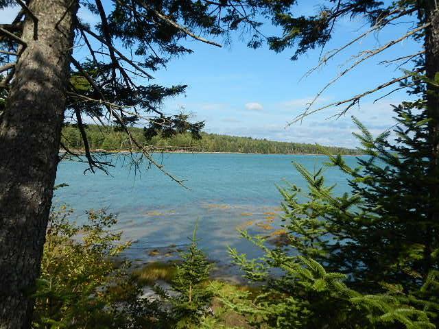 536 Grand Marsh Bay Road Corea, ME 04624 - Photo 16 of 34 Photo