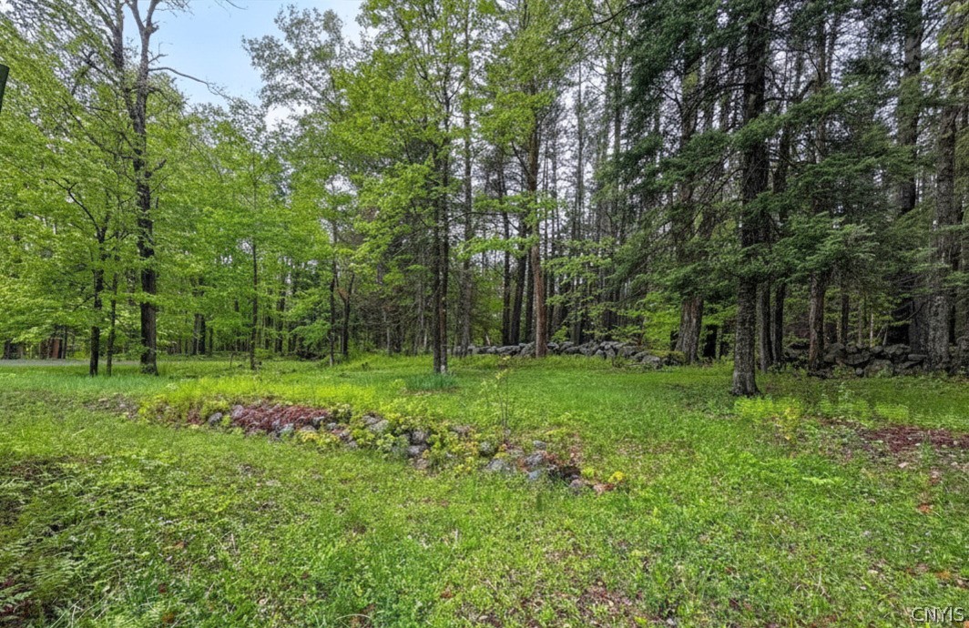1848 Gray-Wilmurt Road Ohio, NY 13324 - Photo 33 of 39