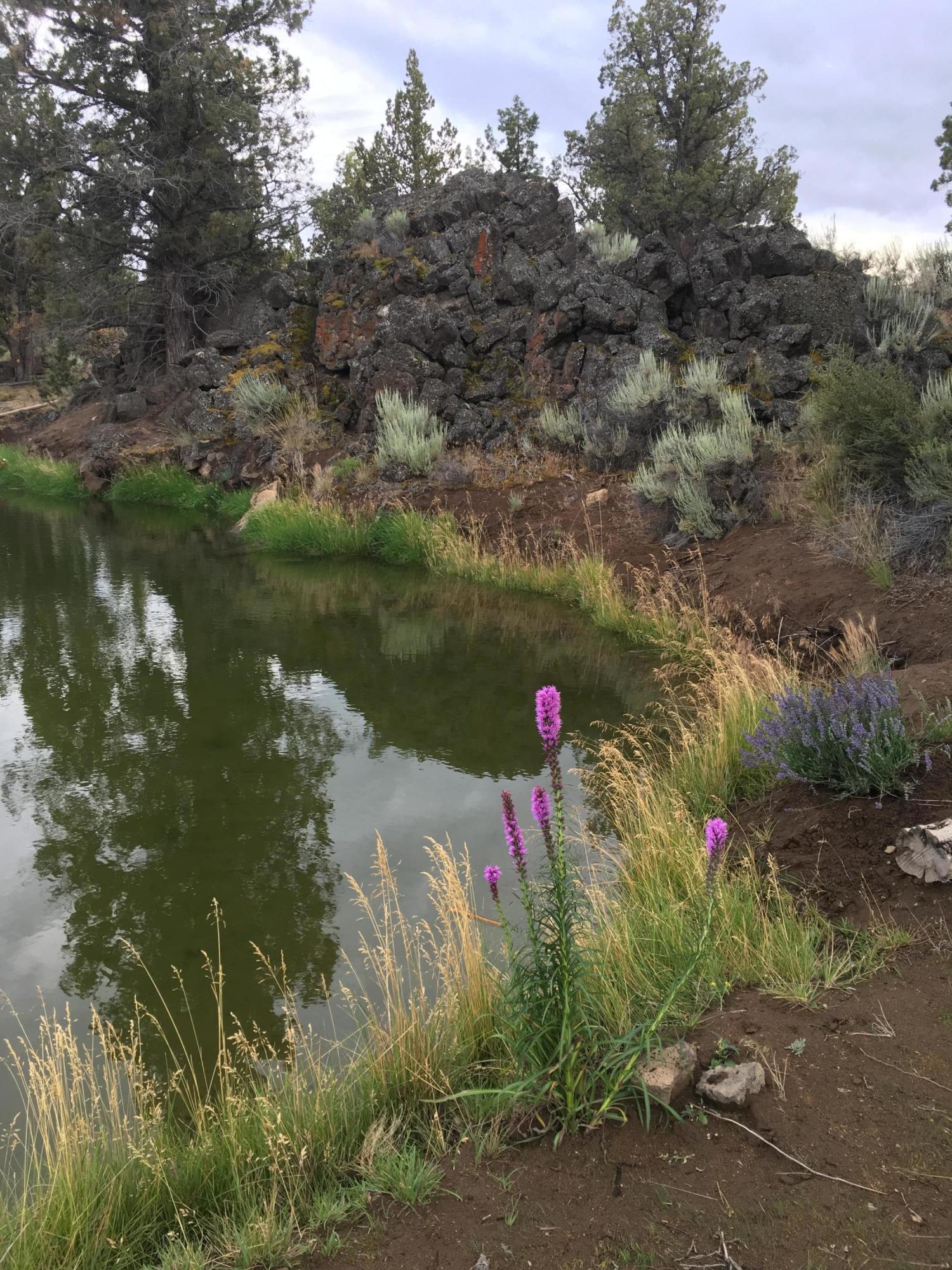 64281 Deschutes Market Road Bend, OR 97701 - Photo 37 of 43 Pond View with Rock Backdrop
