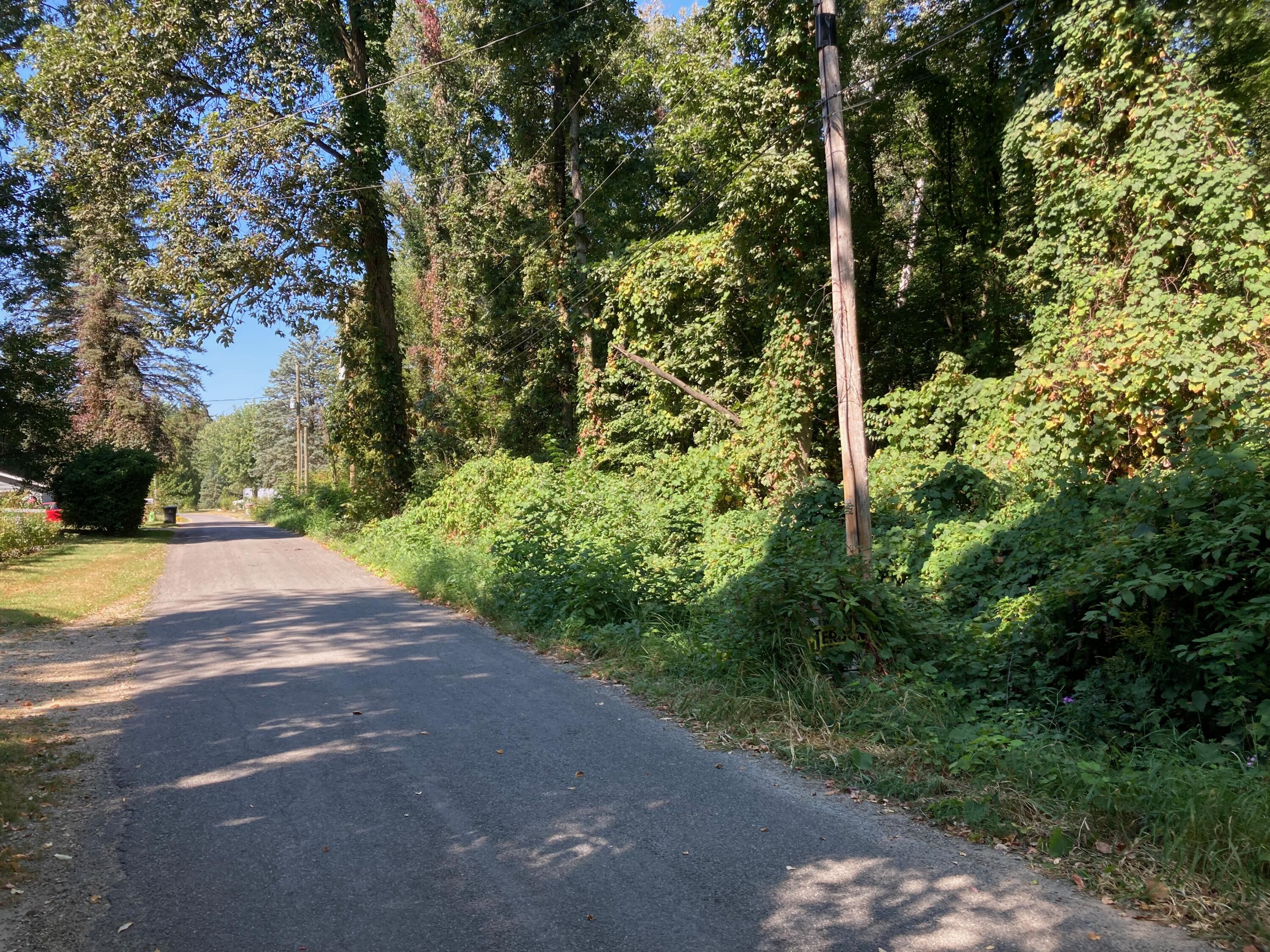 Vl Ellen Road Dowagiac, MI 49047 - Photo 19 of 22 Heavily Wooded