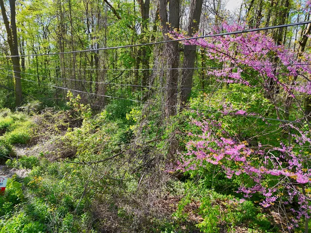 $29,950 | Vl Ellen Road, Dowagiac, MI 49047