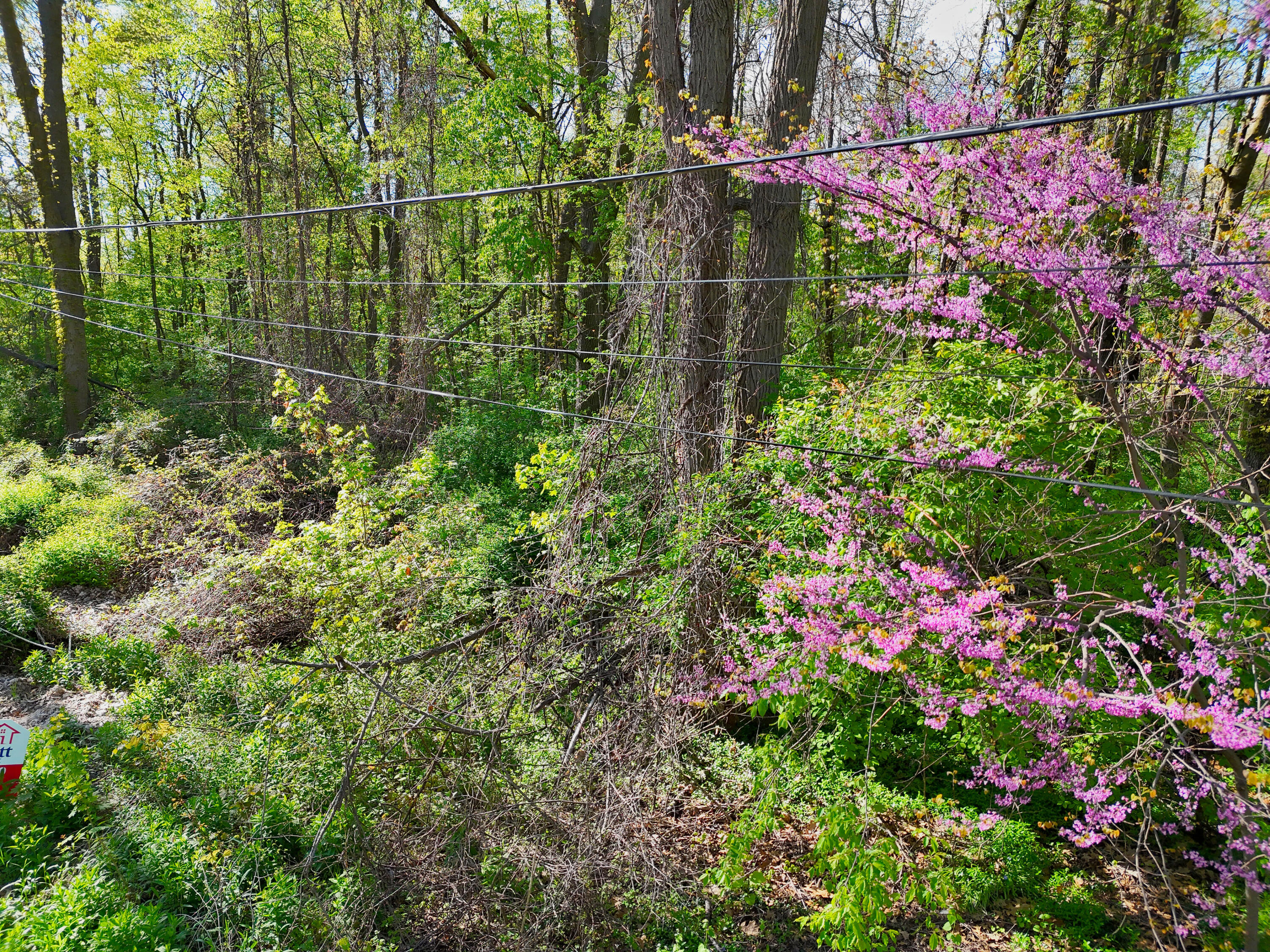 Vl Ellen Road Dowagiac, MI 49047 - Photo 3 of 22 Heavily Wooded