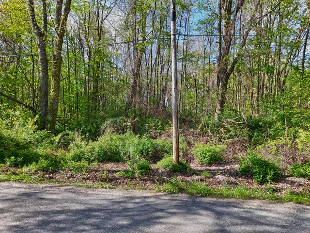 $29,950 | Vl Ellen Road, Dowagiac, MI 49047