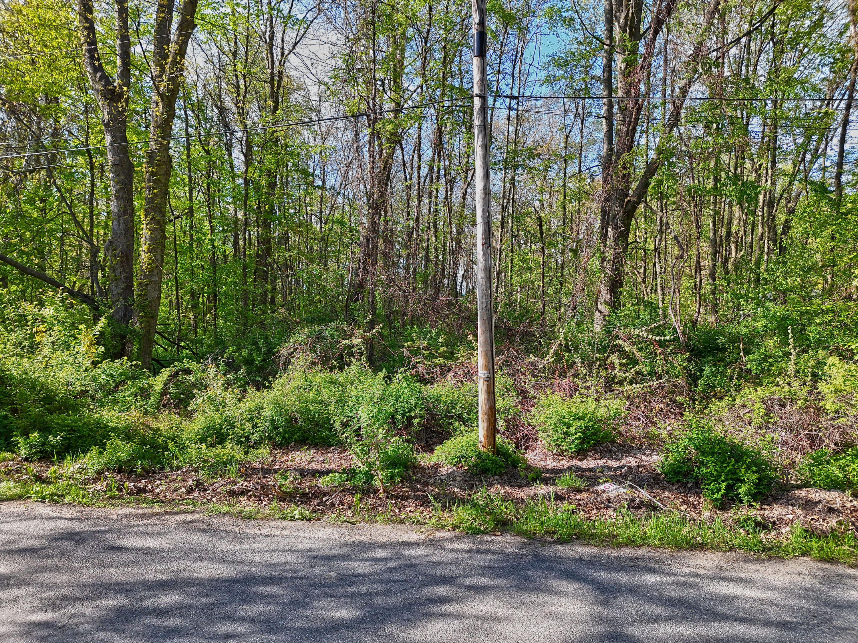 Vl Ellen Road Dowagiac, MI 49047 - Photo 4 of 22 Wooded Lot