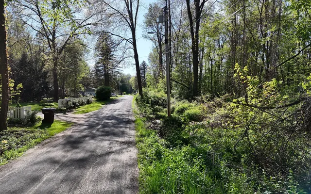 $29,950 | Vl Ellen Road, Dowagiac, MI 49047