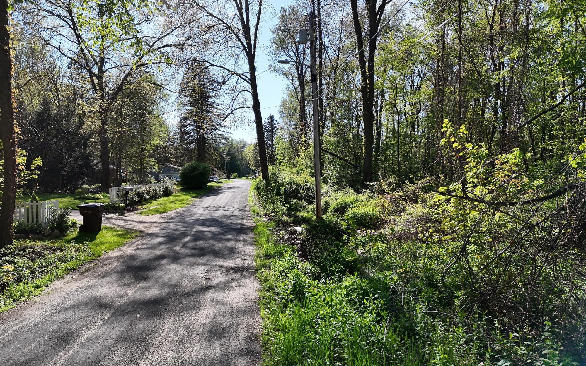Vl Ellen Road Dowagiac, MI 49047 - Photo 5 of 22 View of Ellen Rd. & Lot