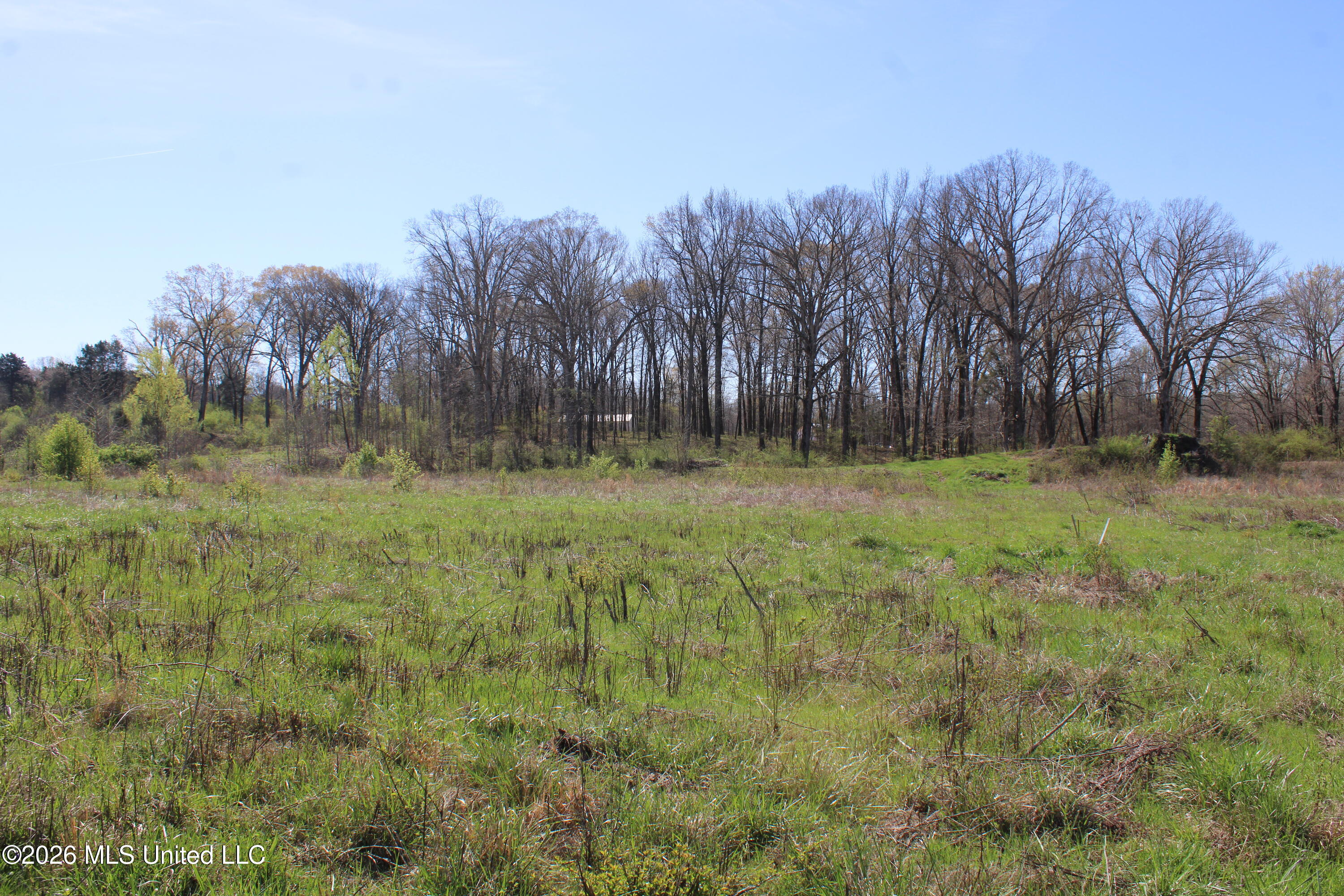 11 Barton Desoto Road Olive Branch, MS 38654 - Photo 11 of 11 IMG_7537