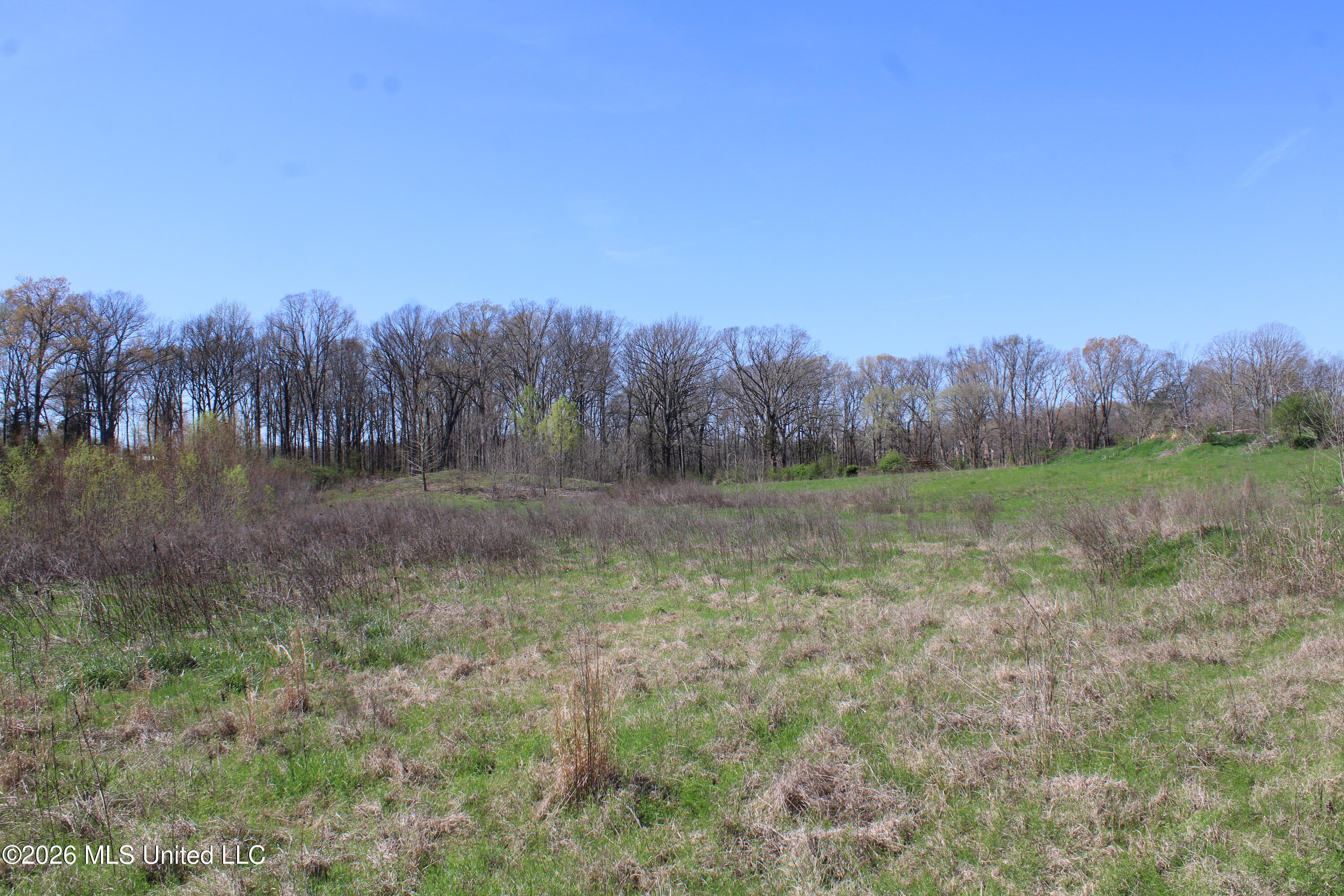 11 Barton Desoto Road Olive Branch, MS 38654 - Photo 3 of 11 IMG_7529