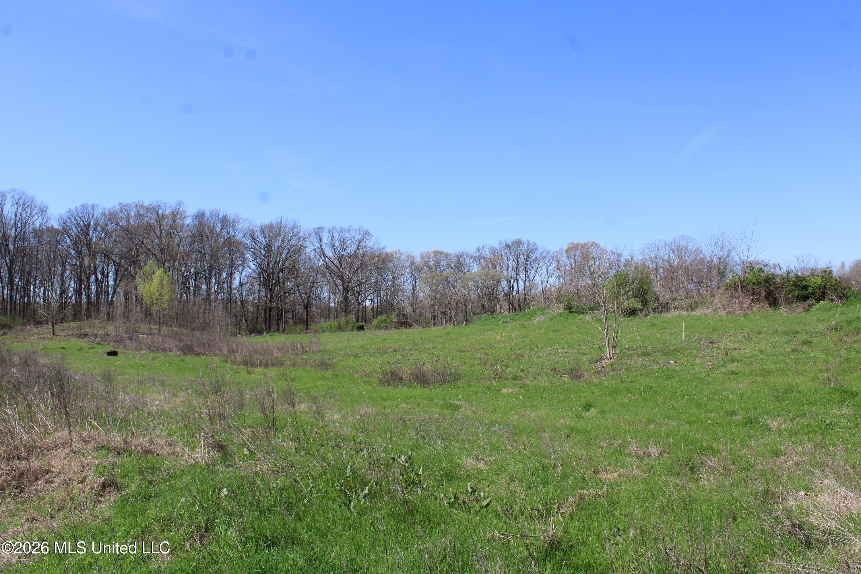 11 Barton Desoto Road Olive Branch, MS 38654 - Photo 4 of 11 IMG_7530