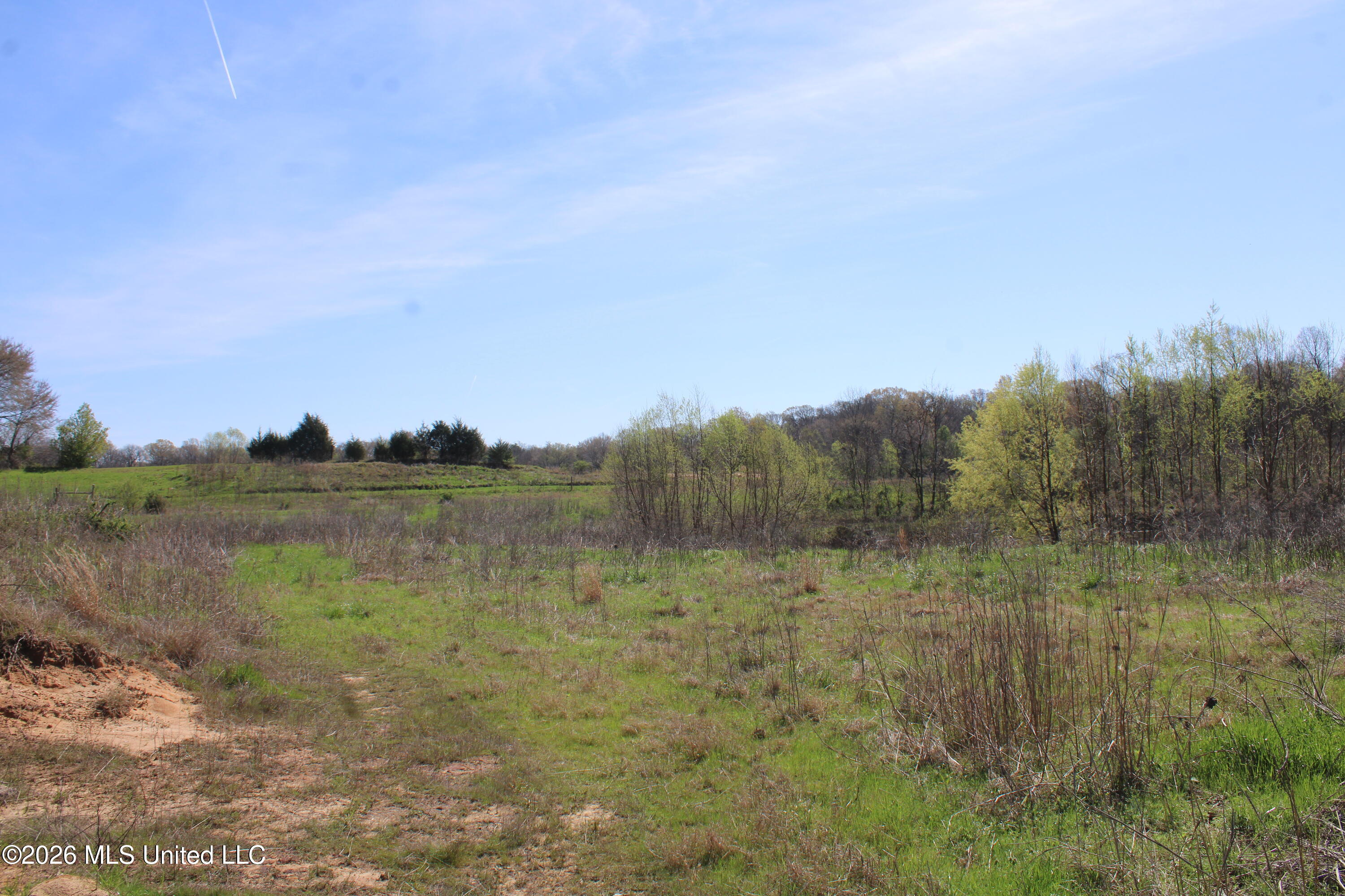 11 Barton Desoto Road Olive Branch, MS 38654 - Photo 5 of 11 IMG_7531