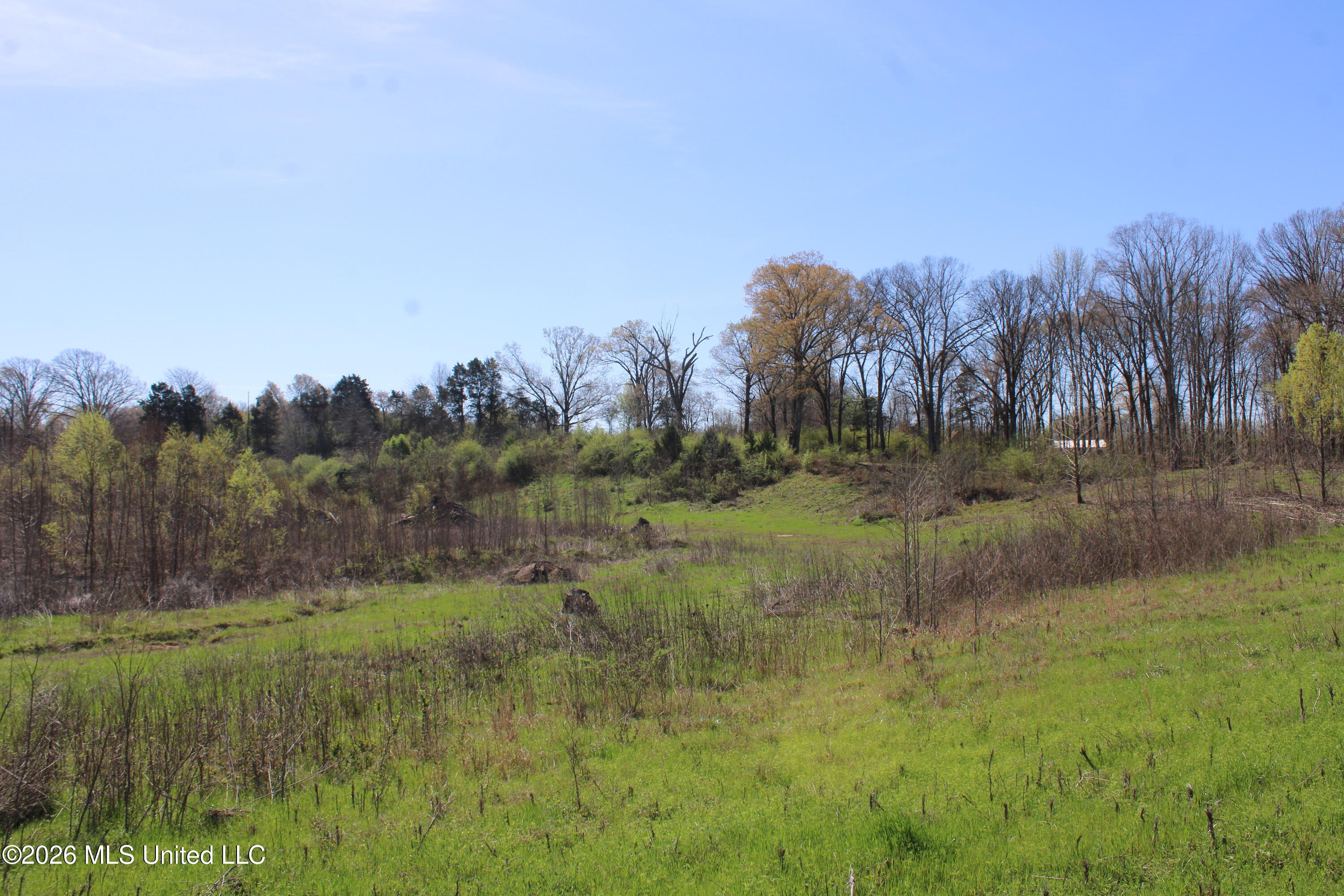 11 Barton Desoto Road Olive Branch, MS 38654 - Photo 7 of 11 IMG_7533