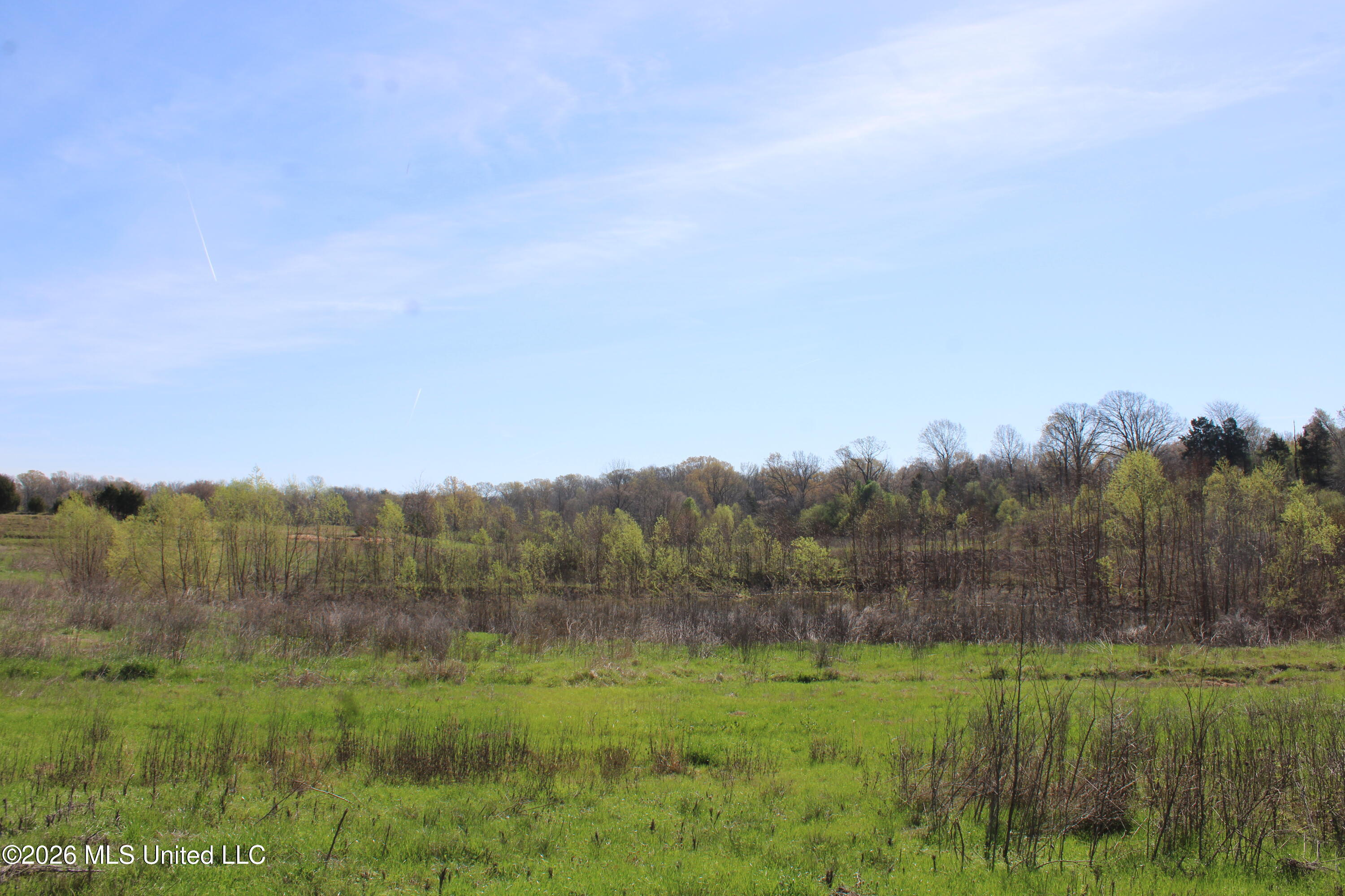 11 Barton Desoto Road Olive Branch, MS 38654 - Photo 8 of 11 IMG_7534