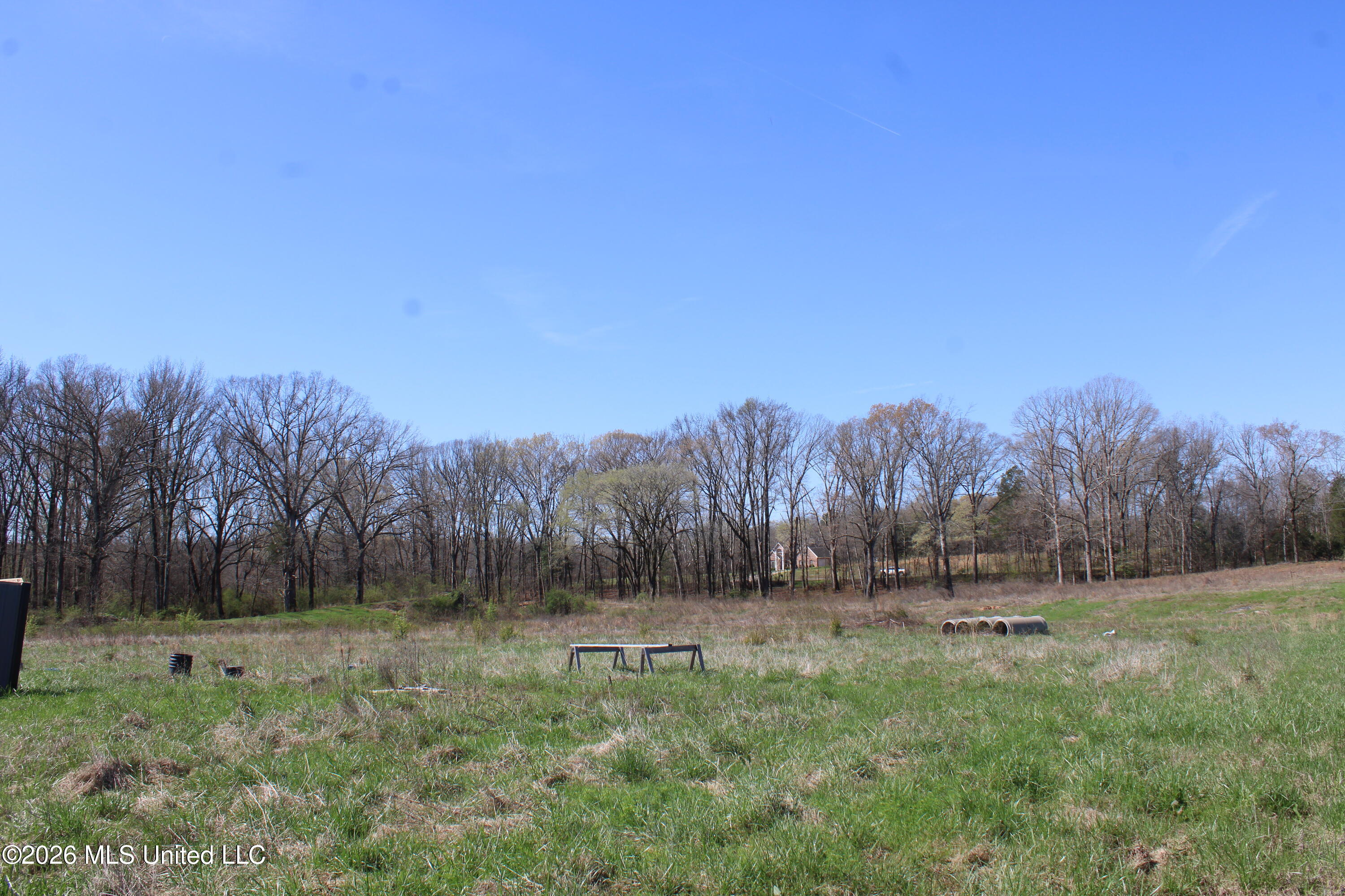11 Barton Desoto Road Olive Branch, MS 38654 - Photo 9 of 11 IMG_7535
